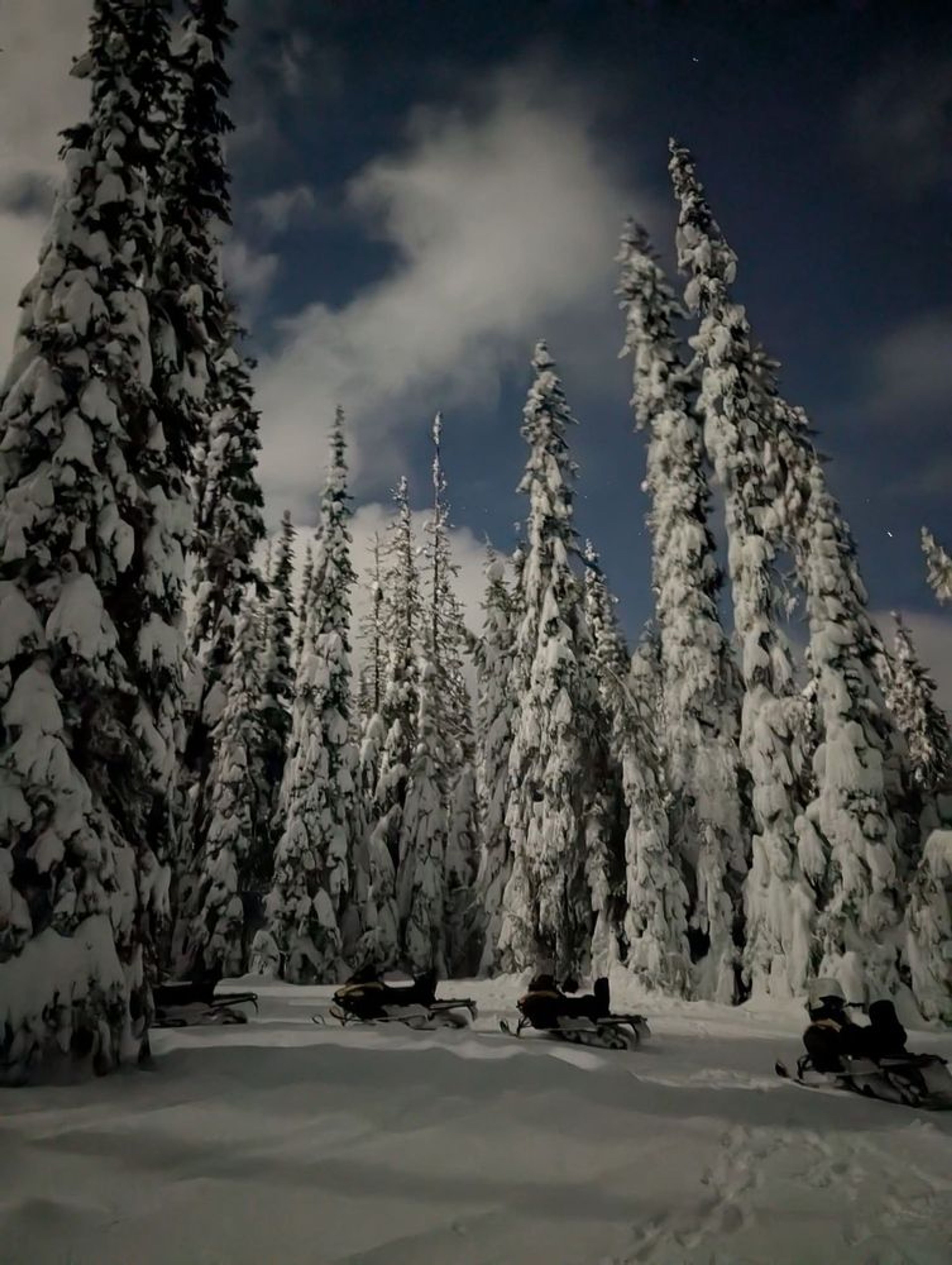 Cabin Fever Apres Snowmobile Tour - Image 4