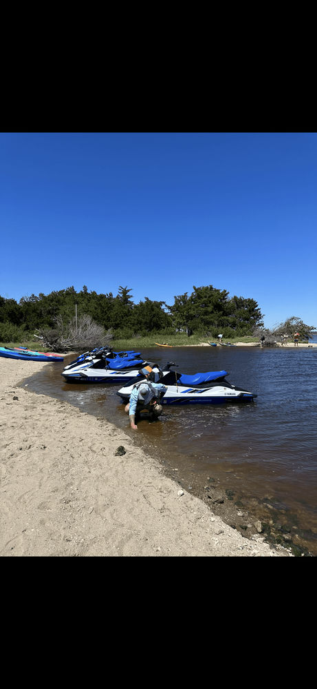 2 Hour Shark Tooth Island Excursion - Image 4