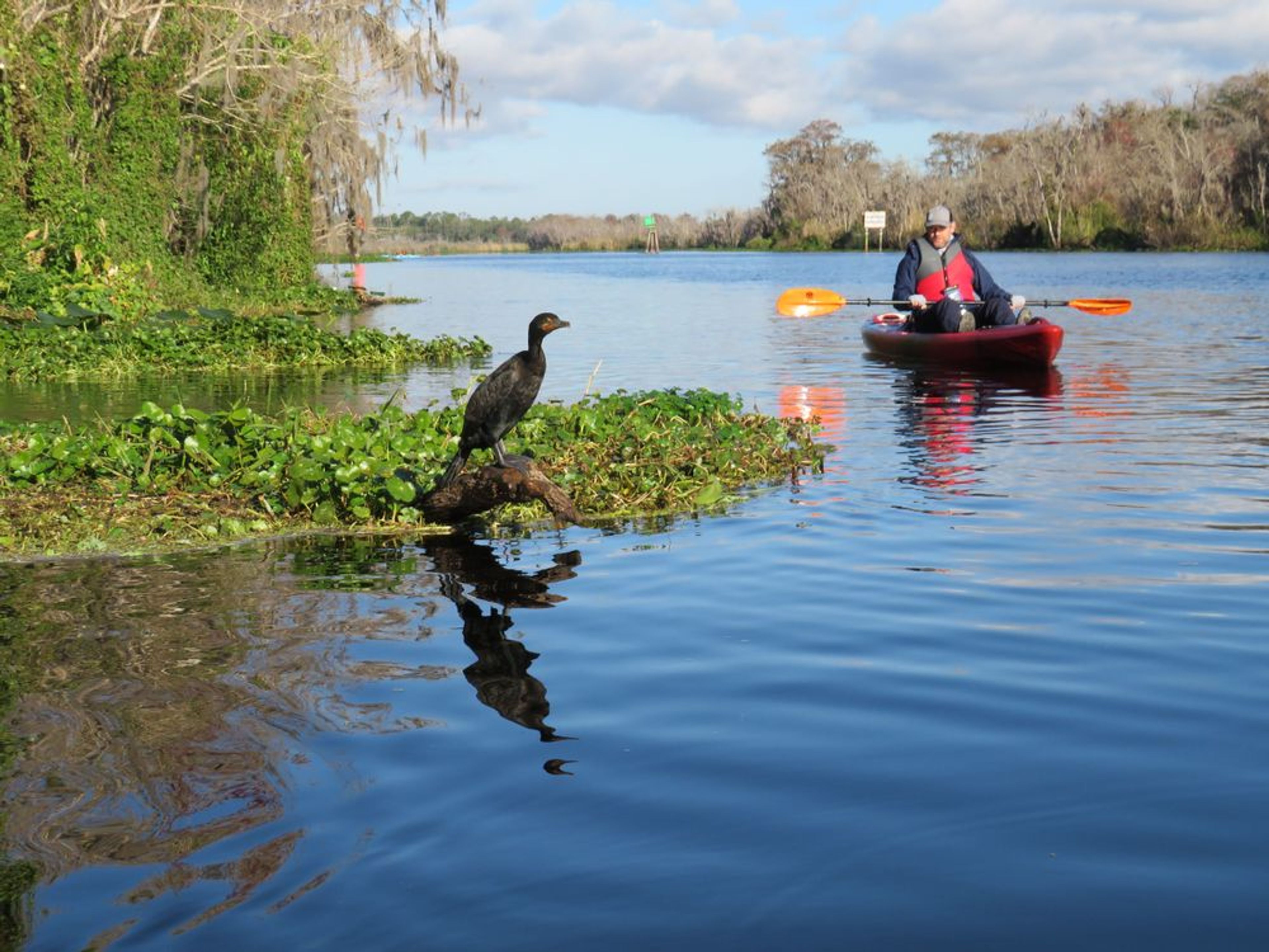 Discover Kayaking - Image 3