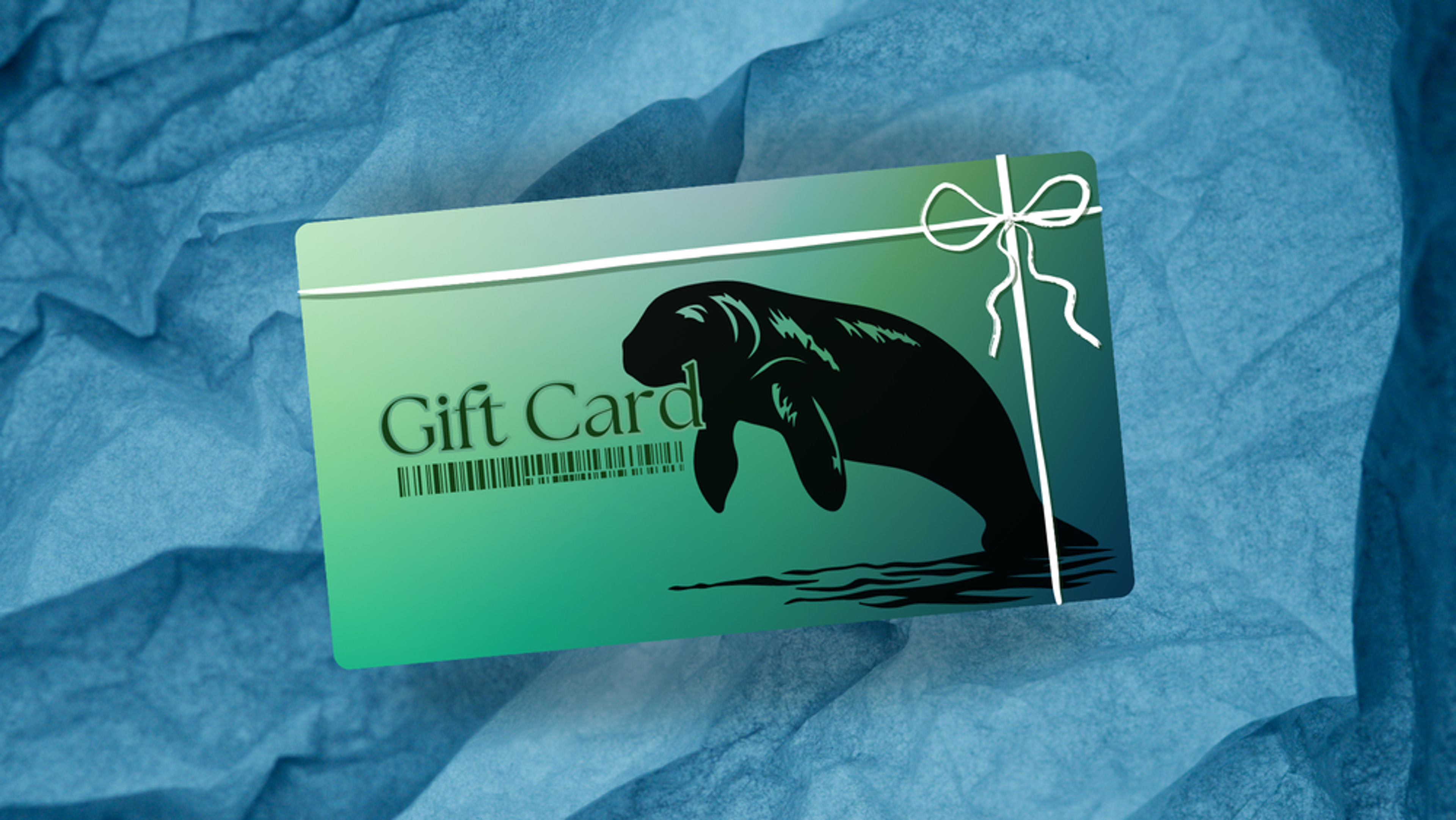 Gift Card - Image 1