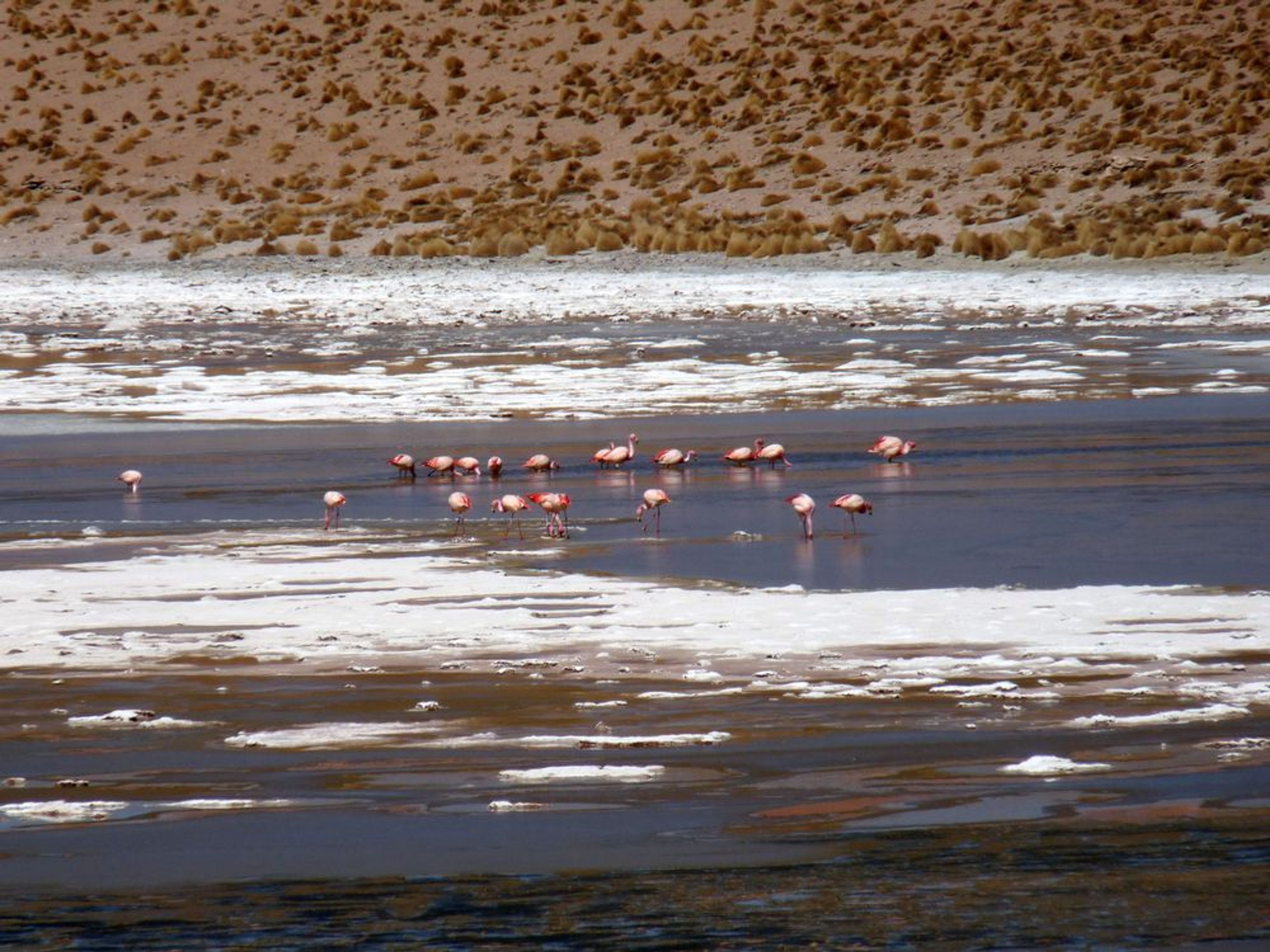 Salares of Uyuni, Bolivia - Image 1