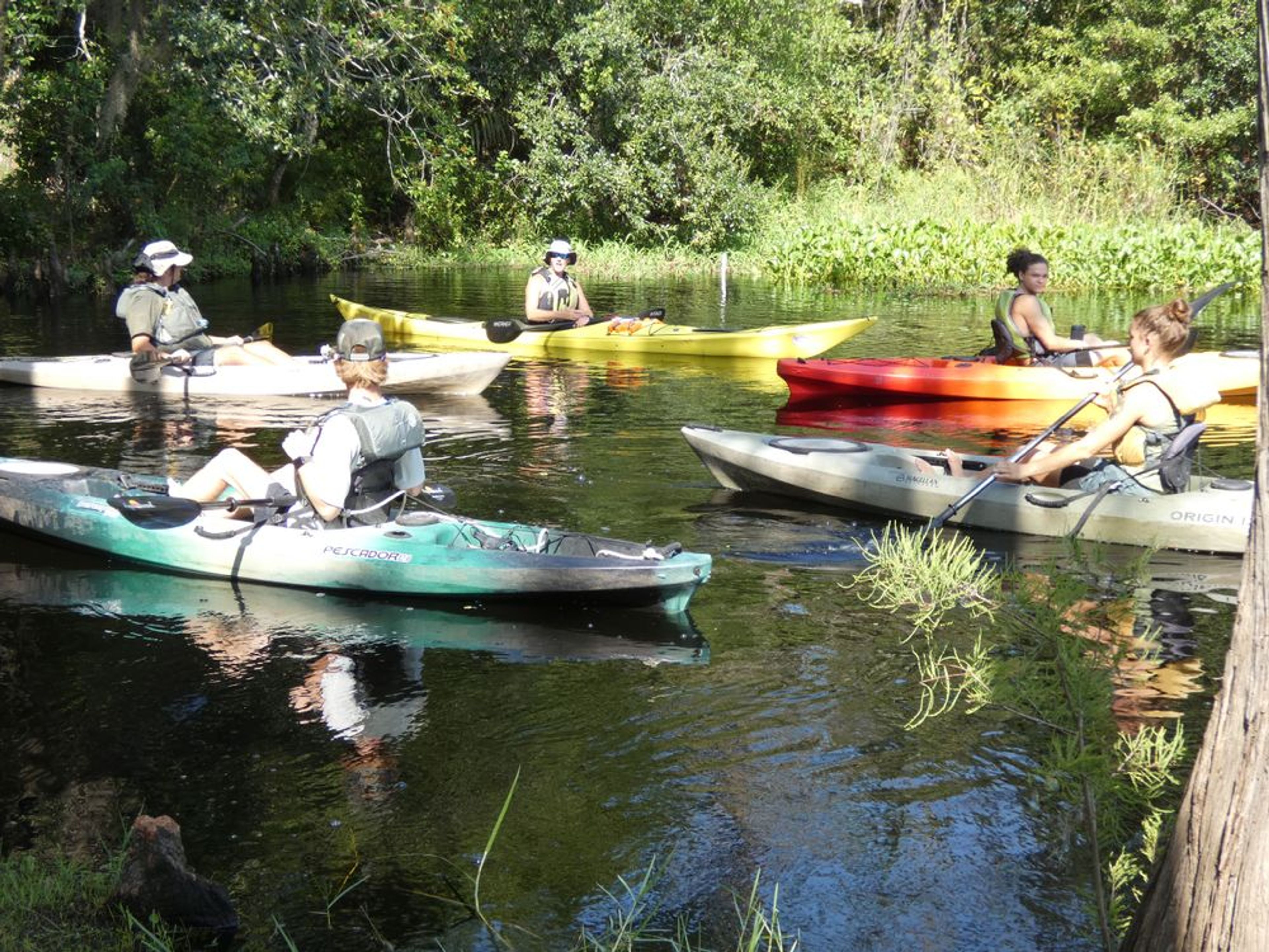 Kayak Paddle Strokes & Safety Primer - Image 3