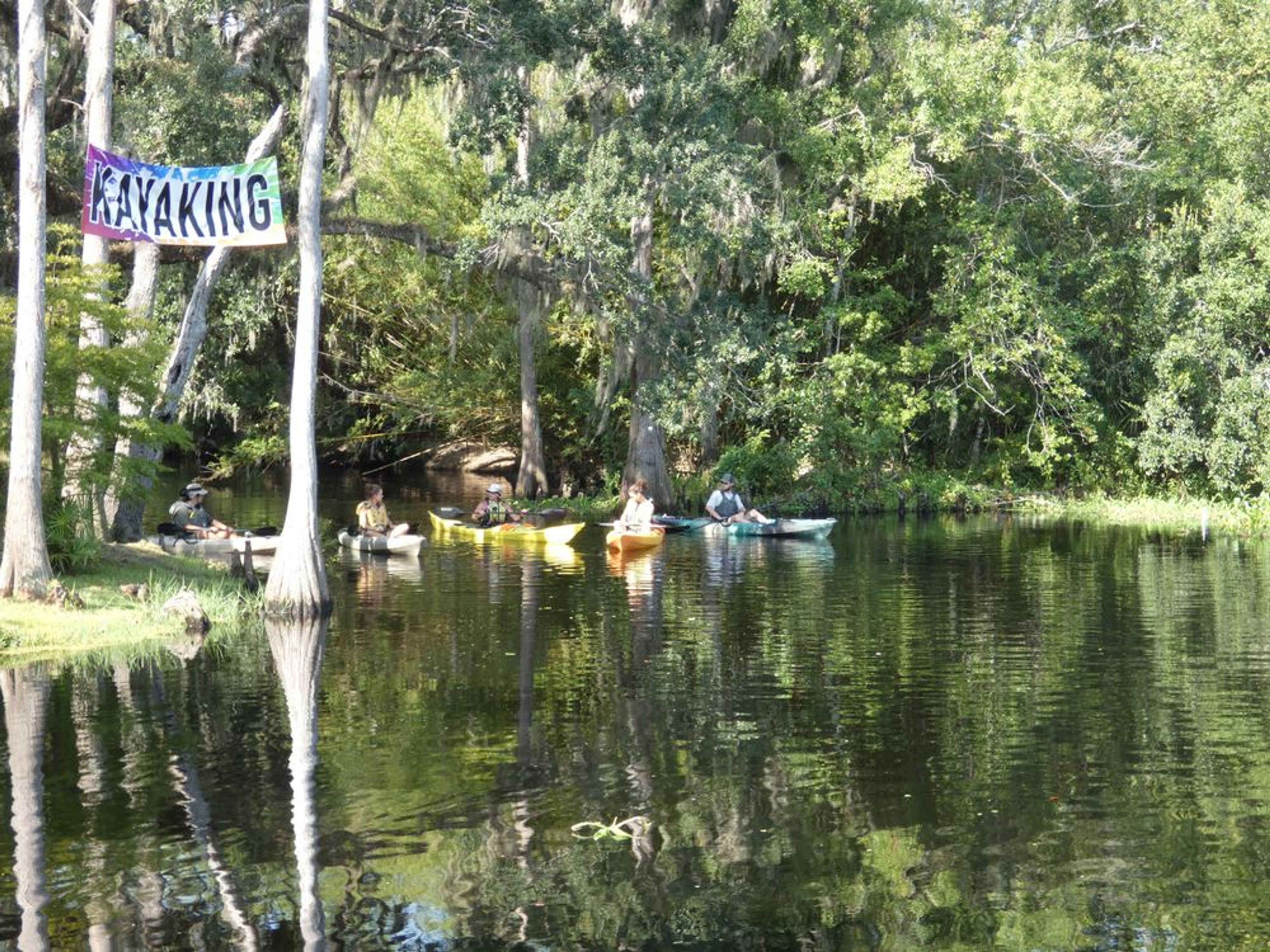 Kayak Paddle Strokes & Safety Primer - Image 4