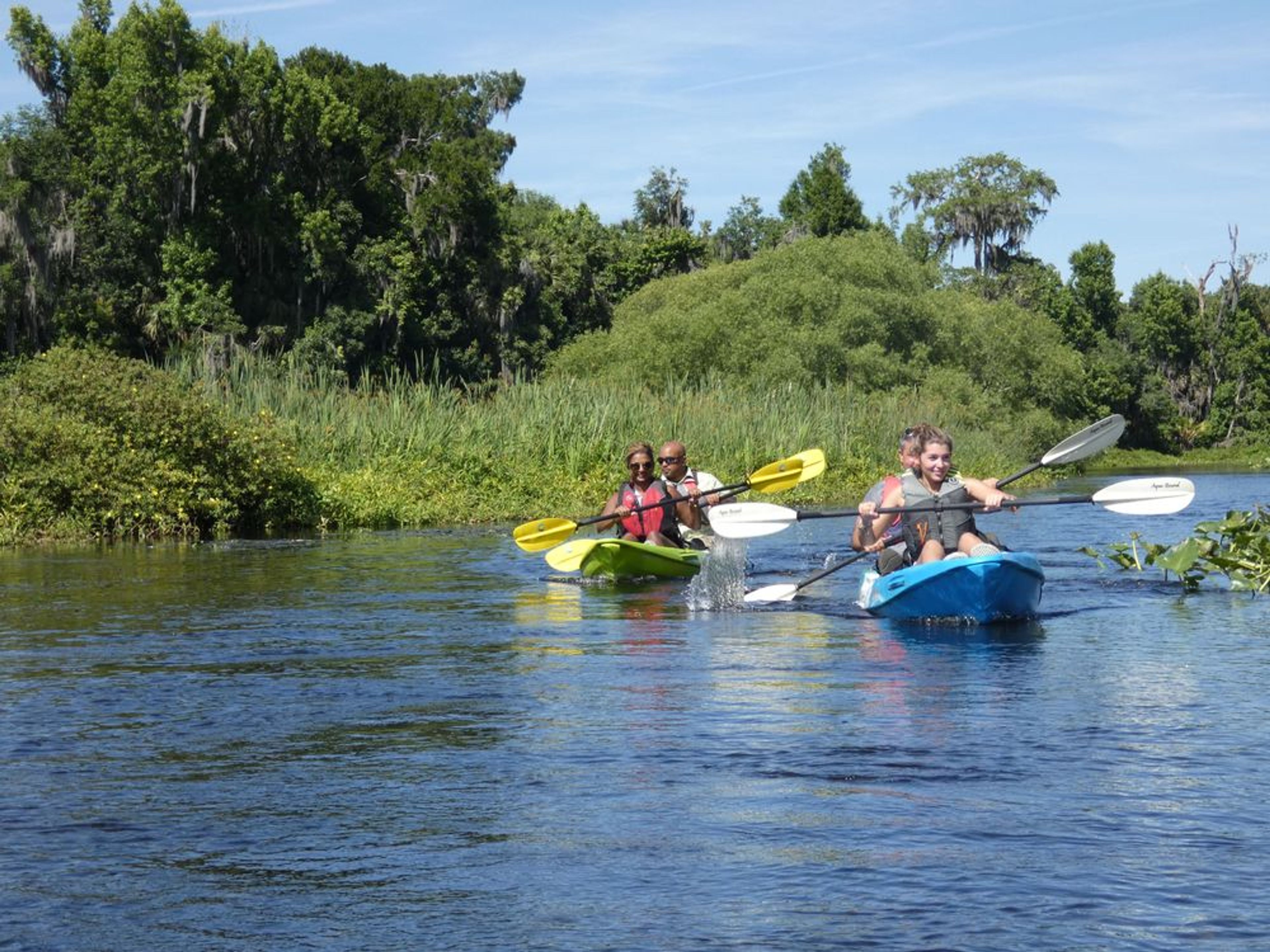 Wekiva River Kayak Explorer - Image 2