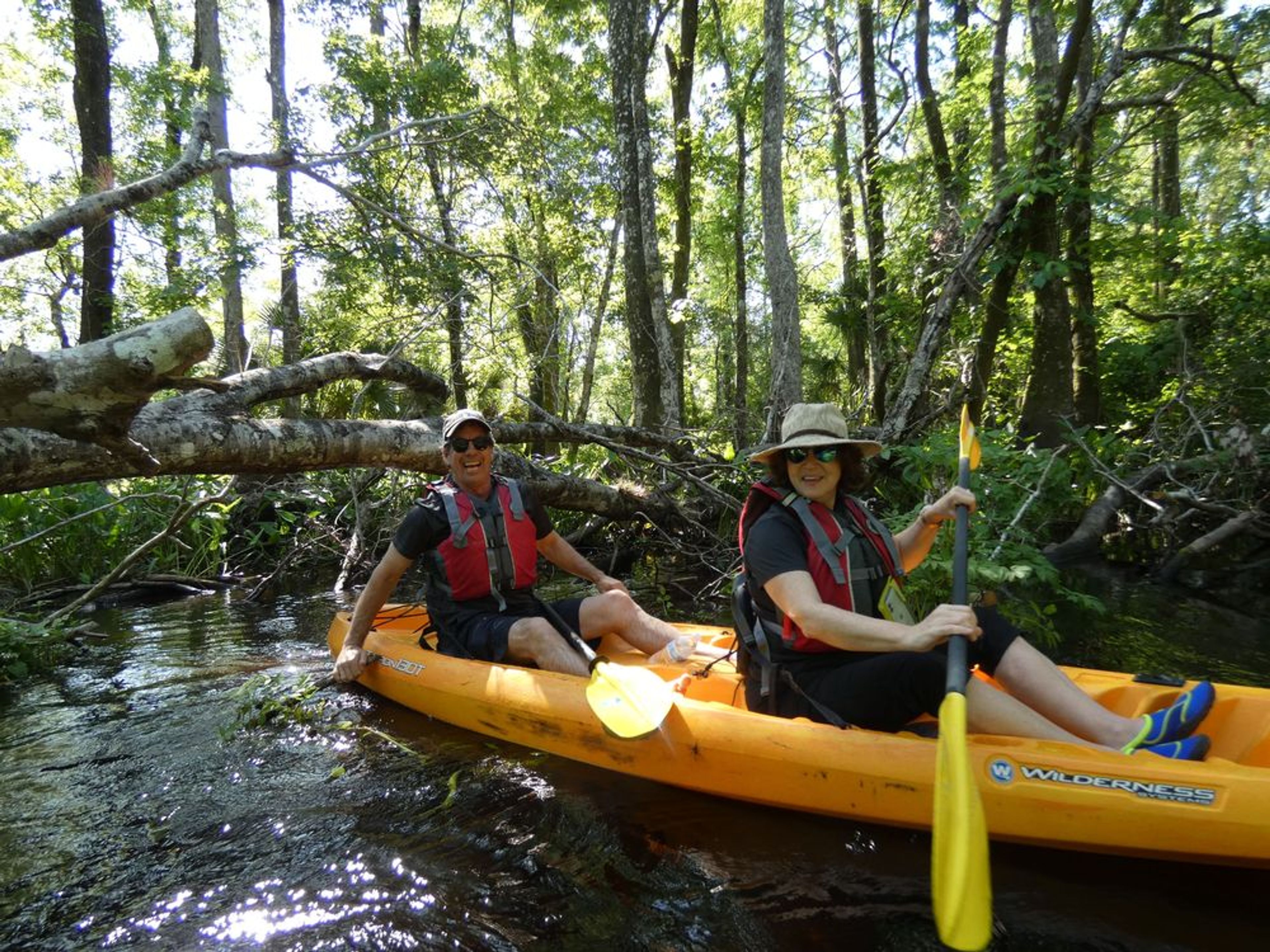 Couple of kayakers enjoying the callenge of the Blackwater Creek.