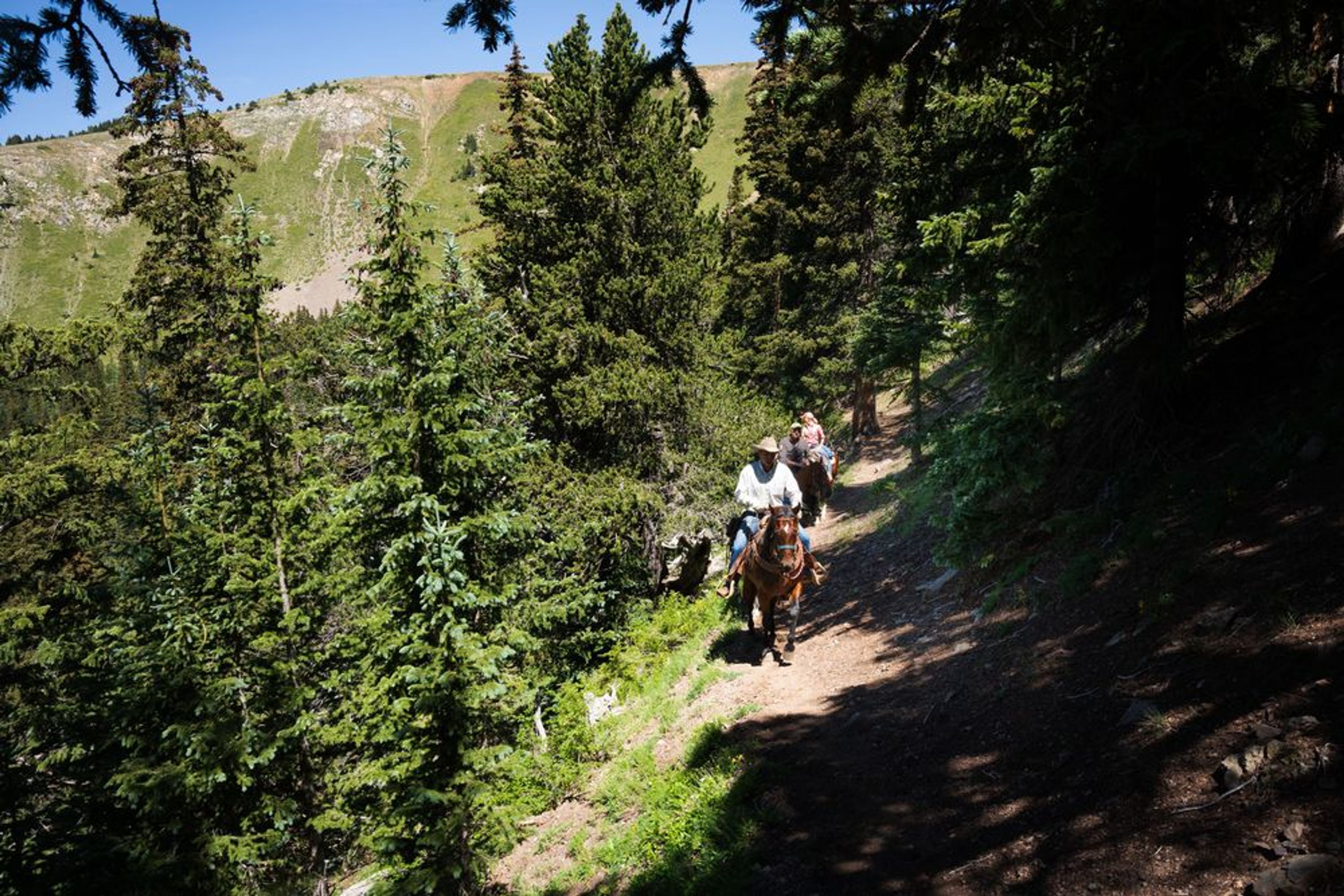 Taos Ski Valley - All Day Ride  - Image 2