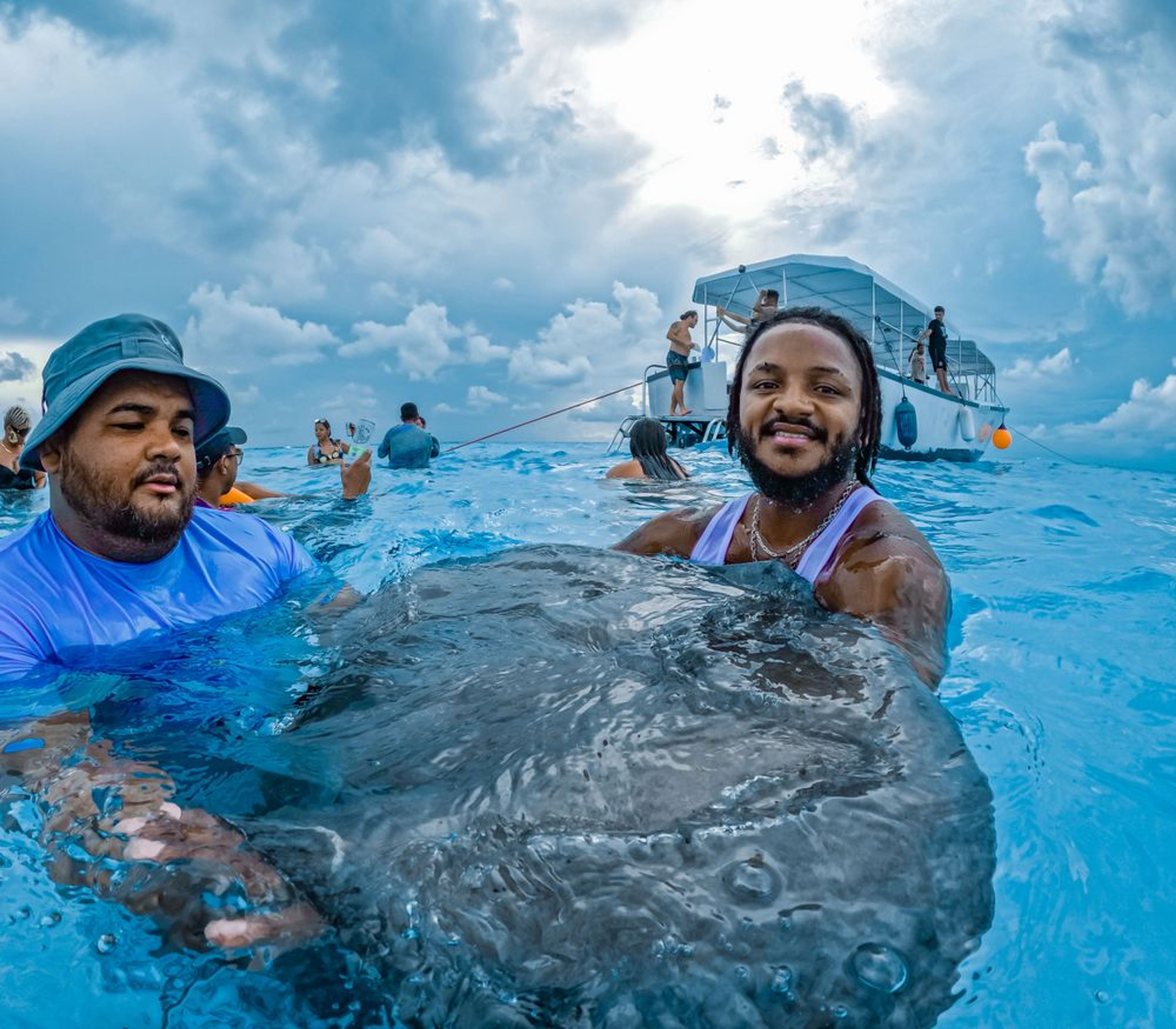 Stingray Interaction