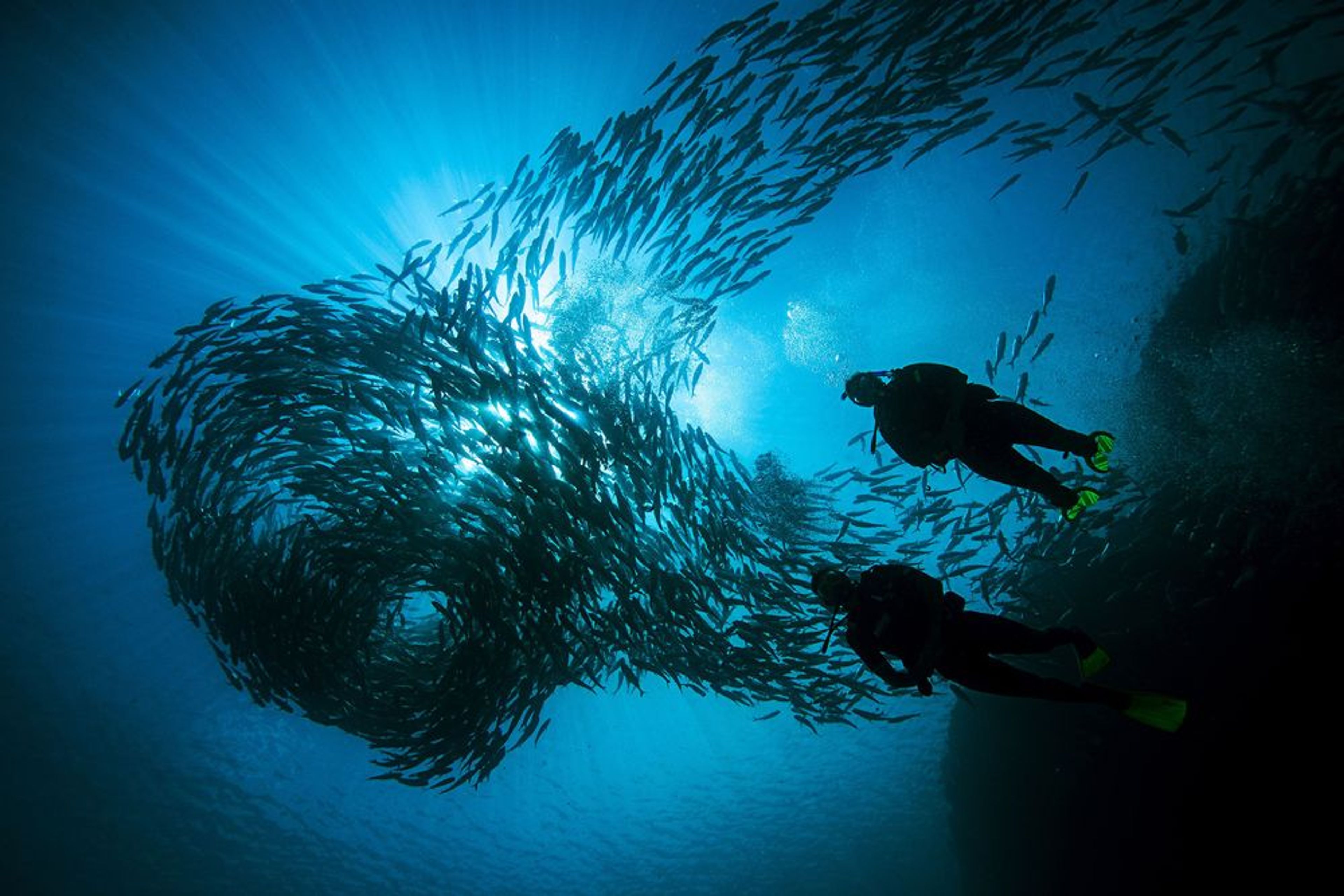 PADI Deep Diver Specialty  - Image 1