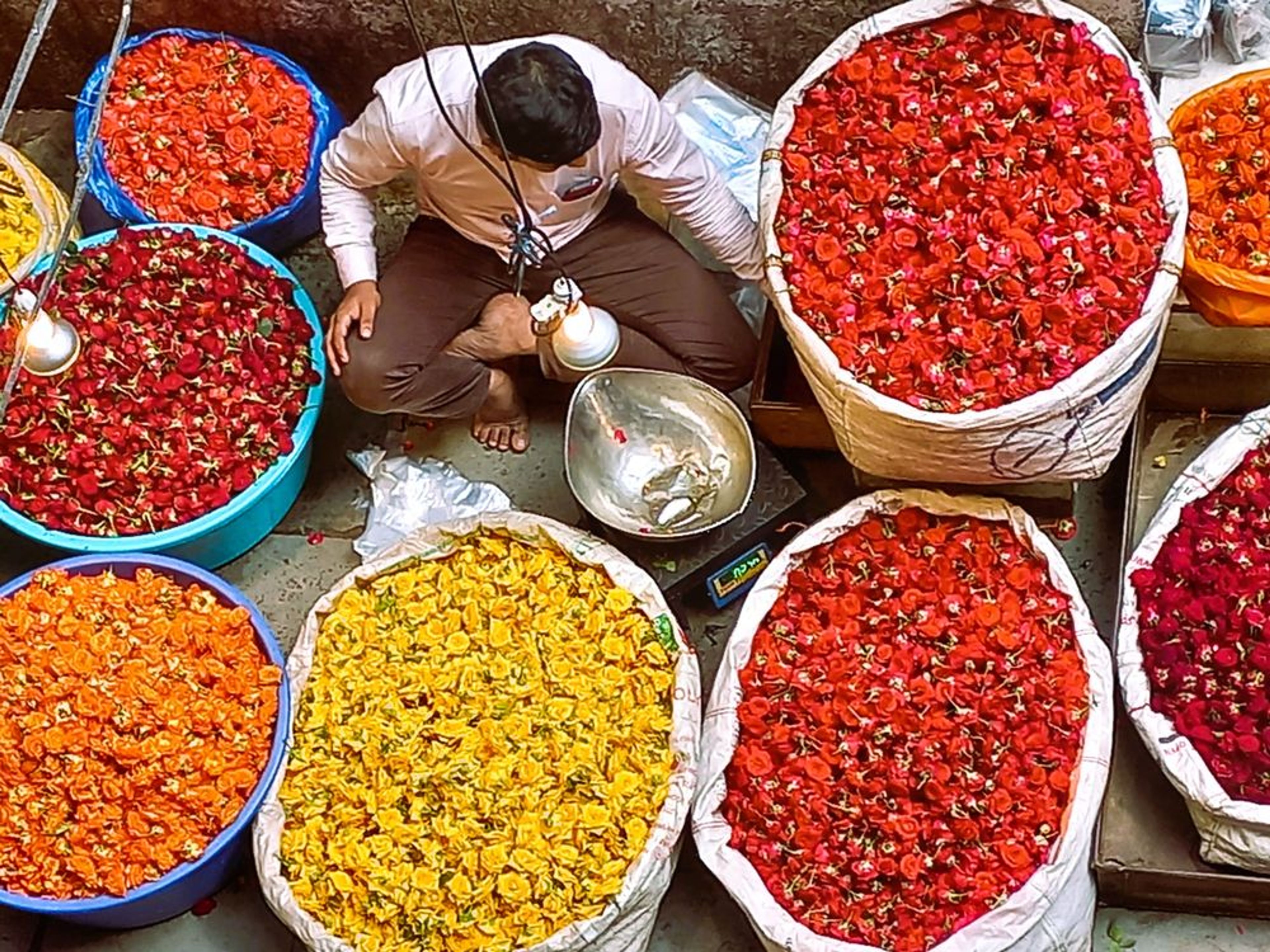 THE WONDER THAT IS INDIA - Image 4