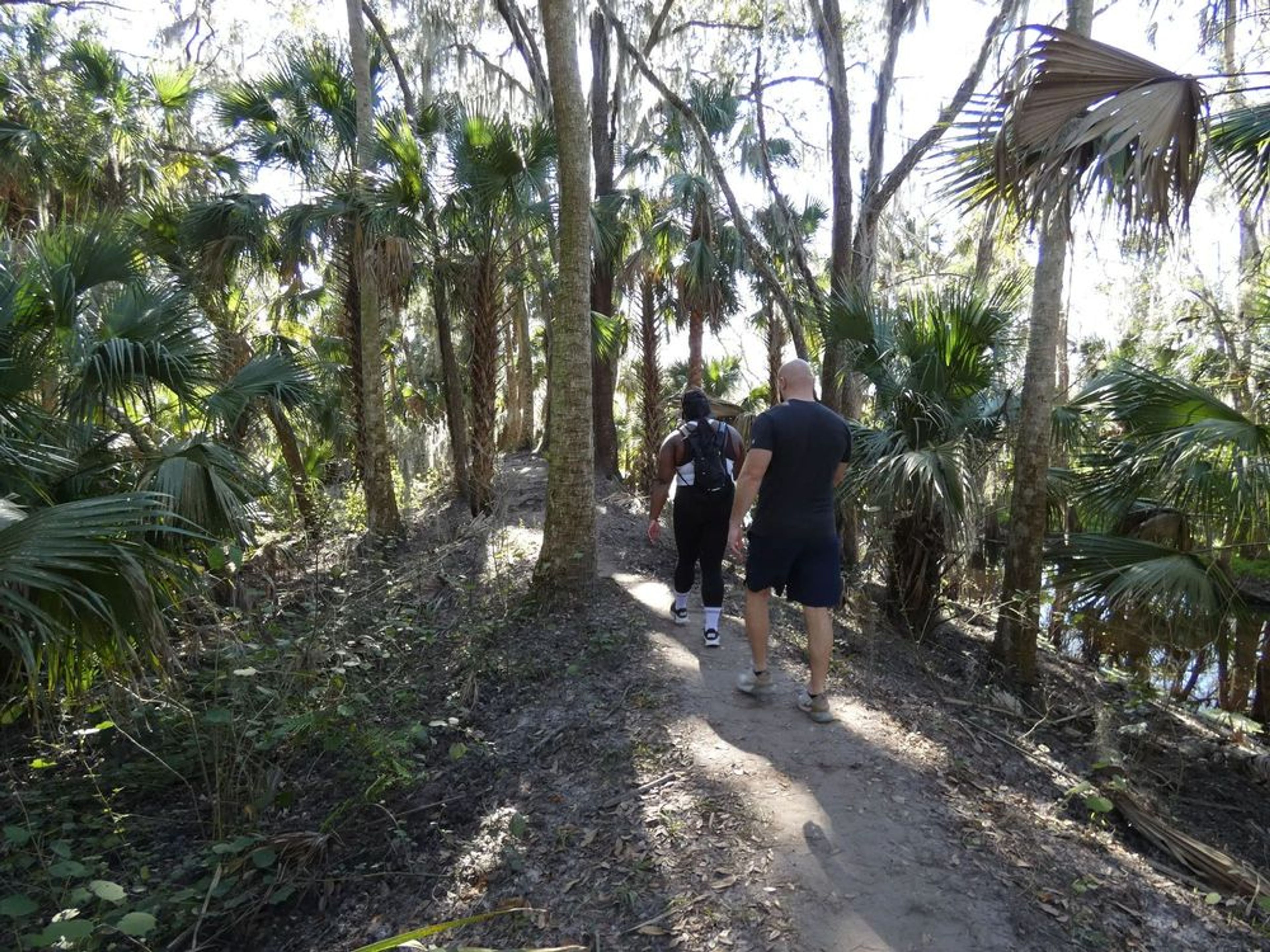 Black Bear Discovery Hike - Image 2