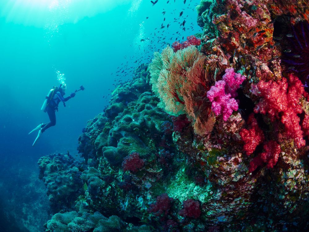 10 Dive Package - Image 1
