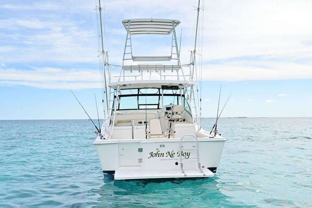 Reef Fishing  - Image 3