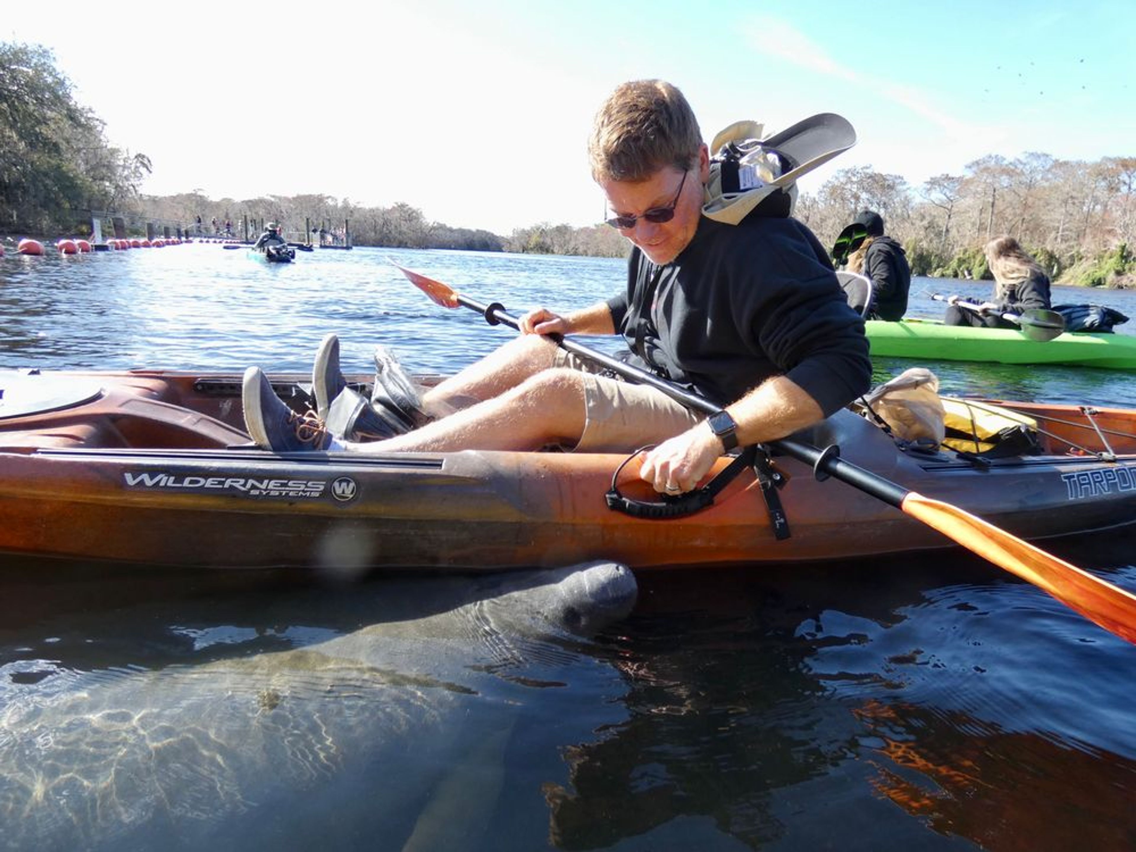 Manatee Discovery Tour - Image 2