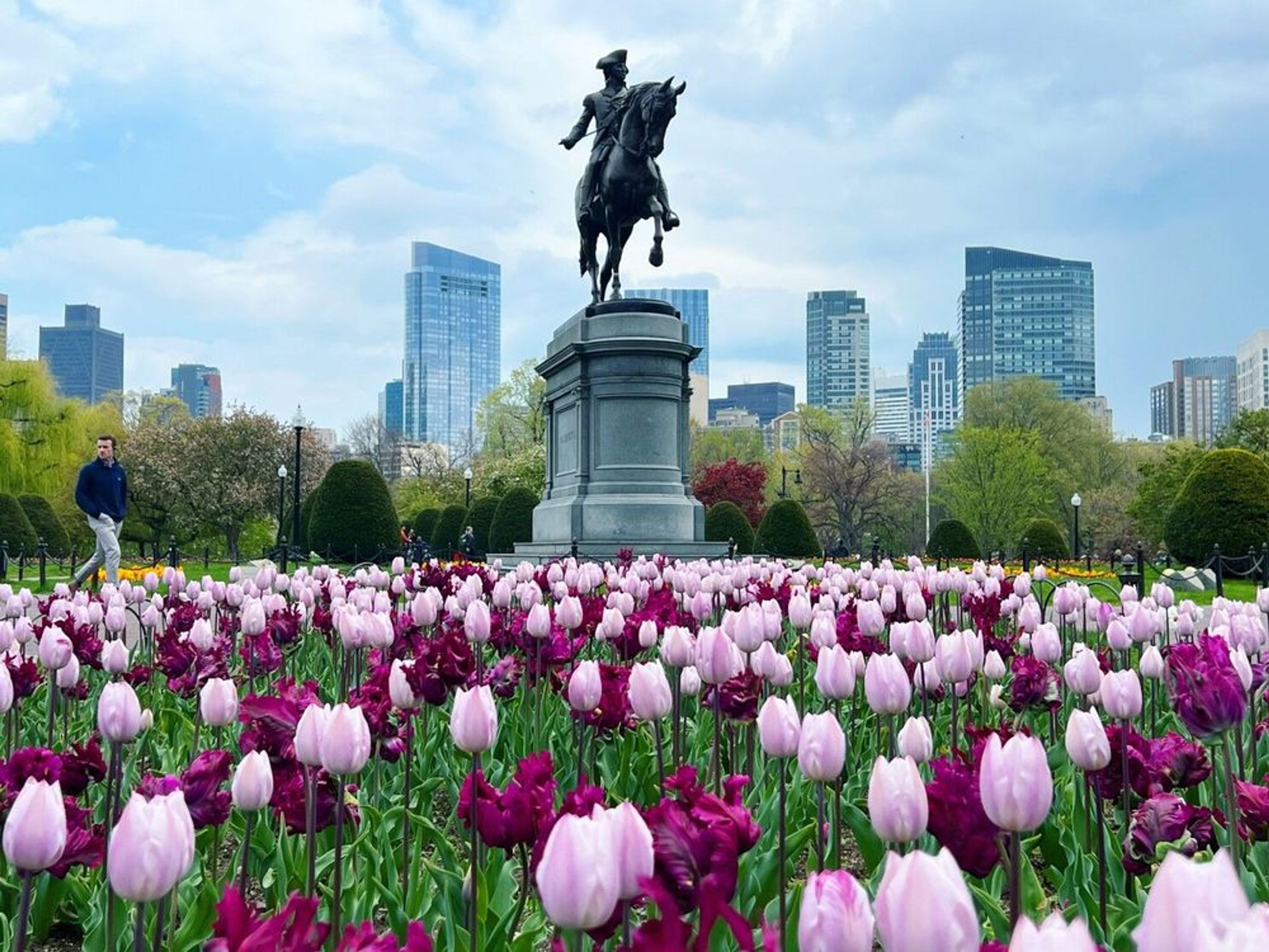 Springtime in Boston is blooming!