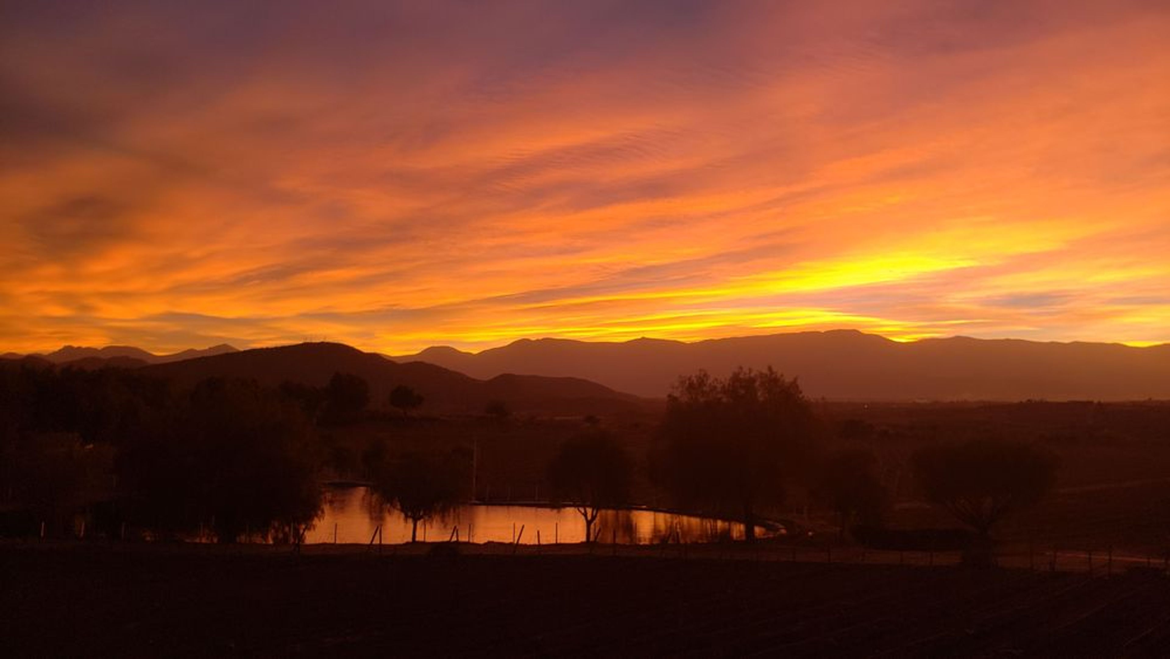 Bolivia’s high altitude wine - Image 2