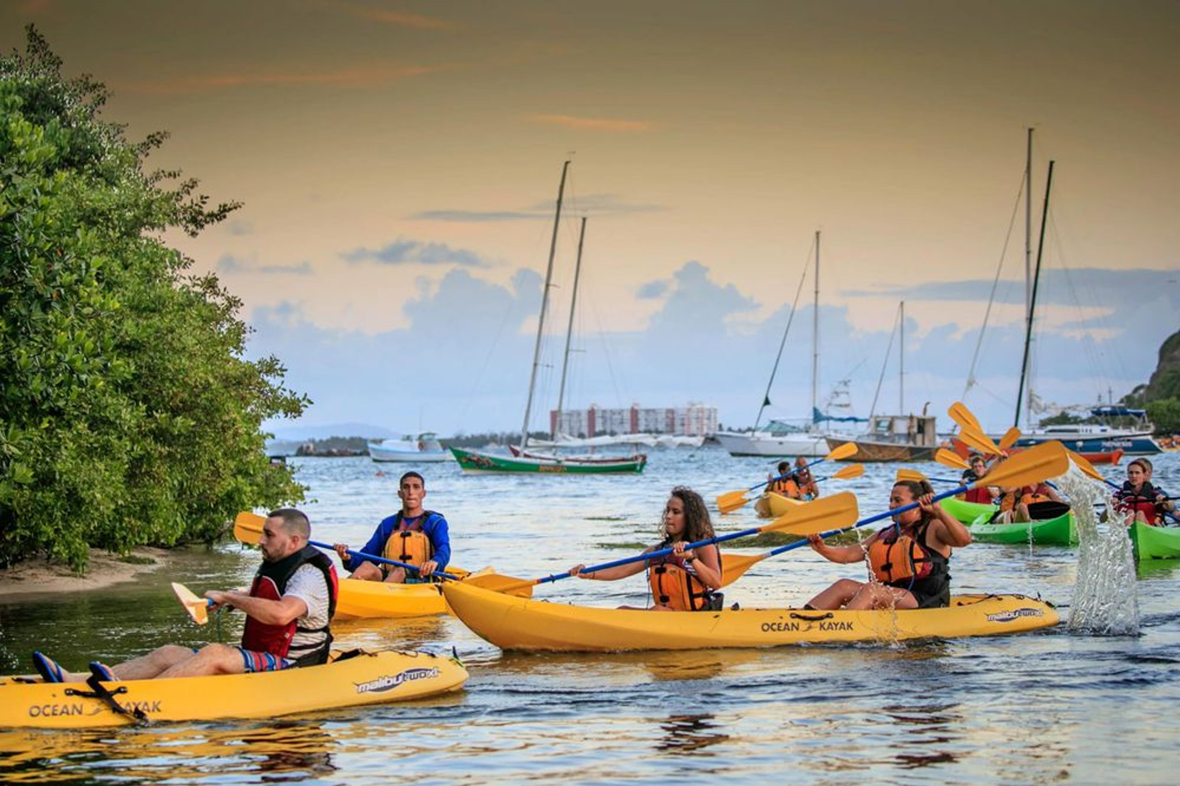 Wheelchair-Accessible Bioluminescent Bay Tour - Image 3