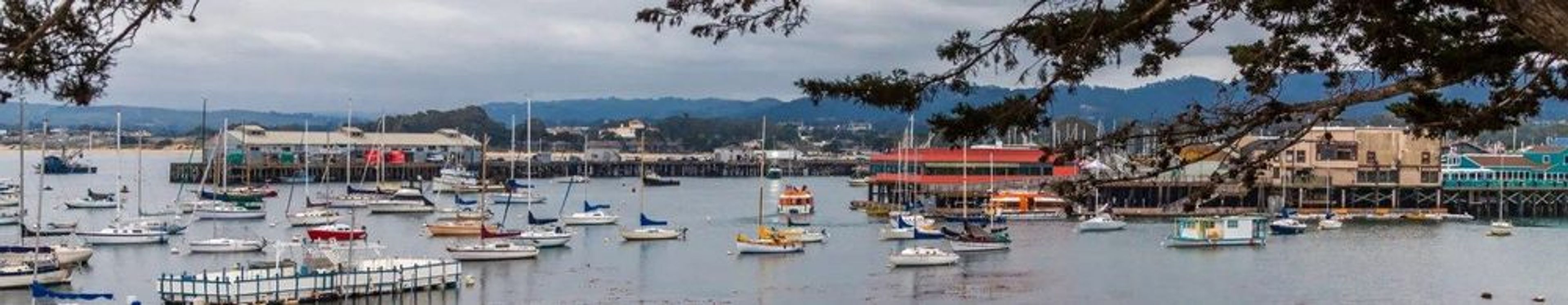 The Best Outdoor Activities in Carmel-by-the-Sea