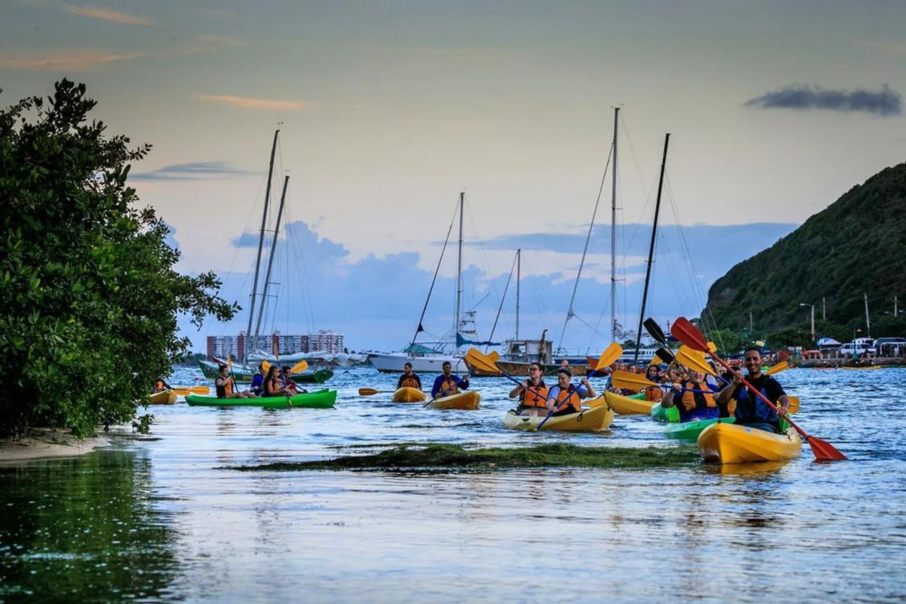 Fajardo Bio Bay Night Kayaking Tour - Image 3