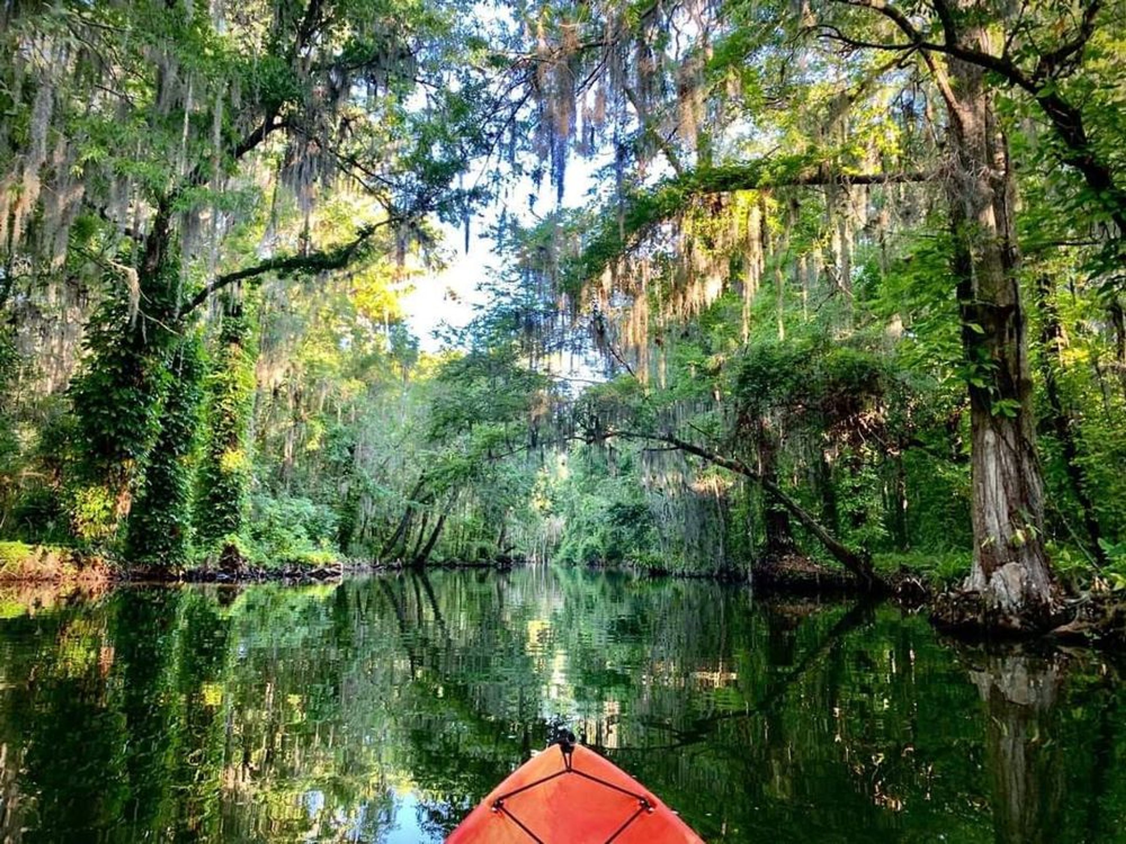 Top Benefits of Paddling the Dora Canal in Fall: Cooler, Calmer, and More Scenic