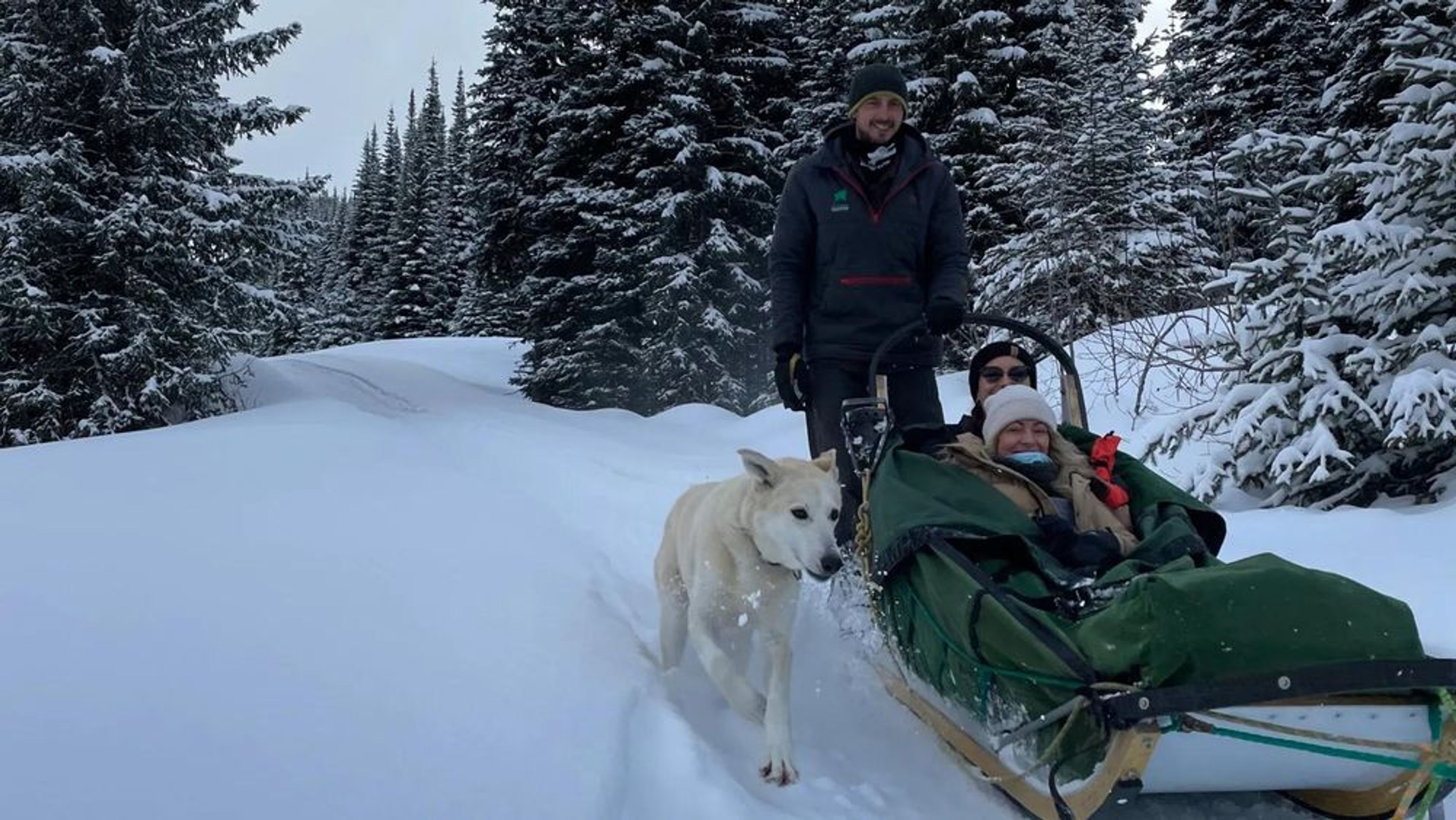Bucket List Dog Sledding Tour - Image 3