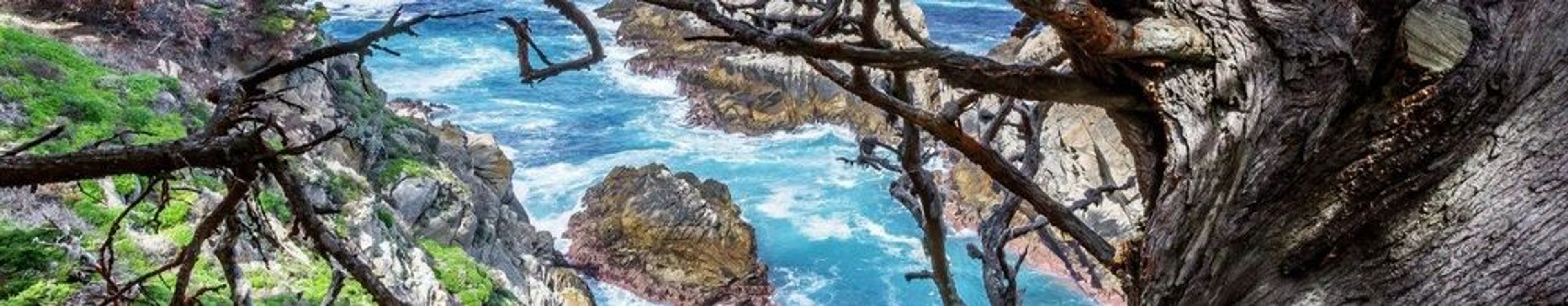 The Easiest Hiking Trails at Point Lobos State Natural Reserve
