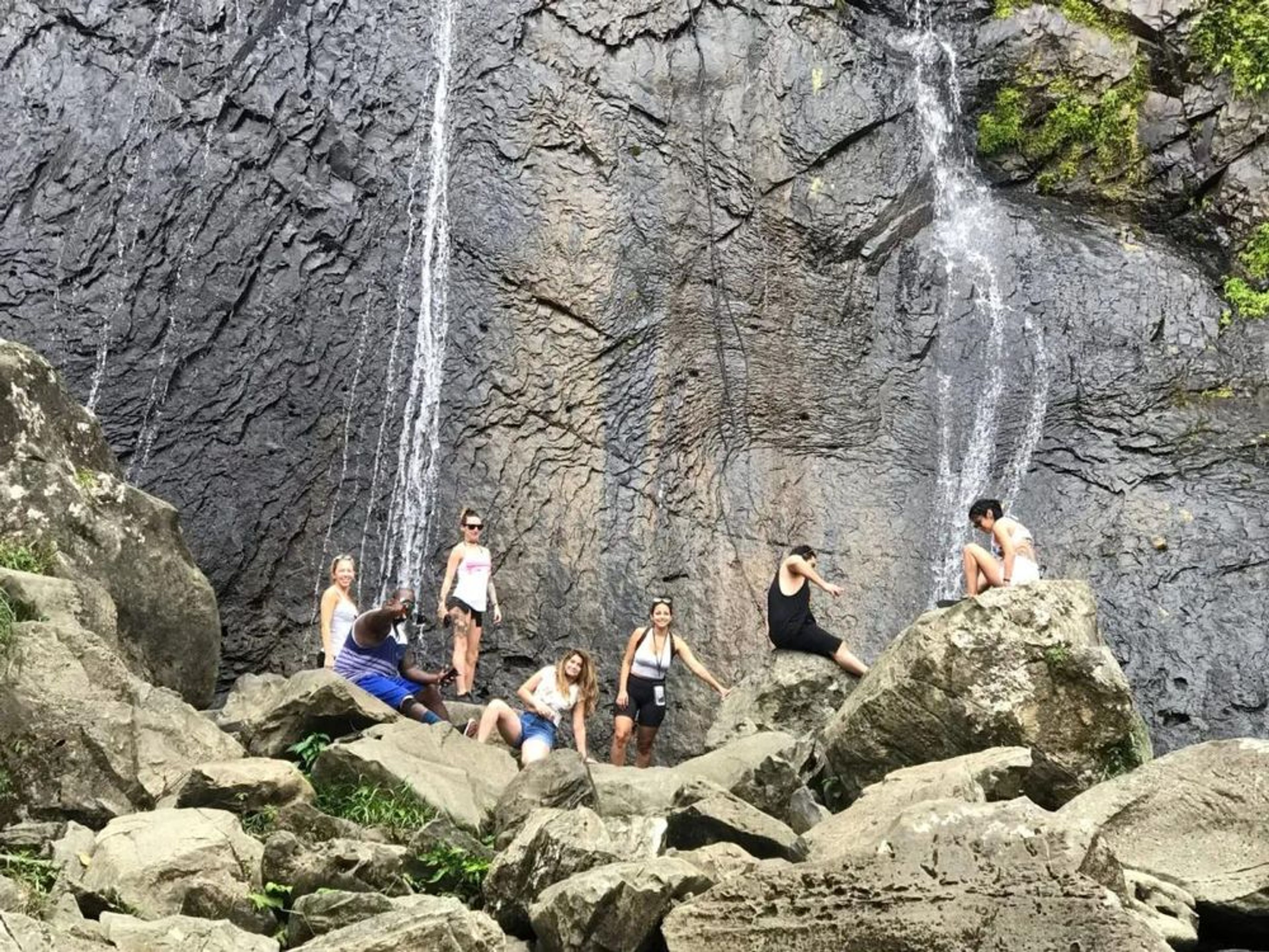 El Yunque Rainforest Tour - Image 2