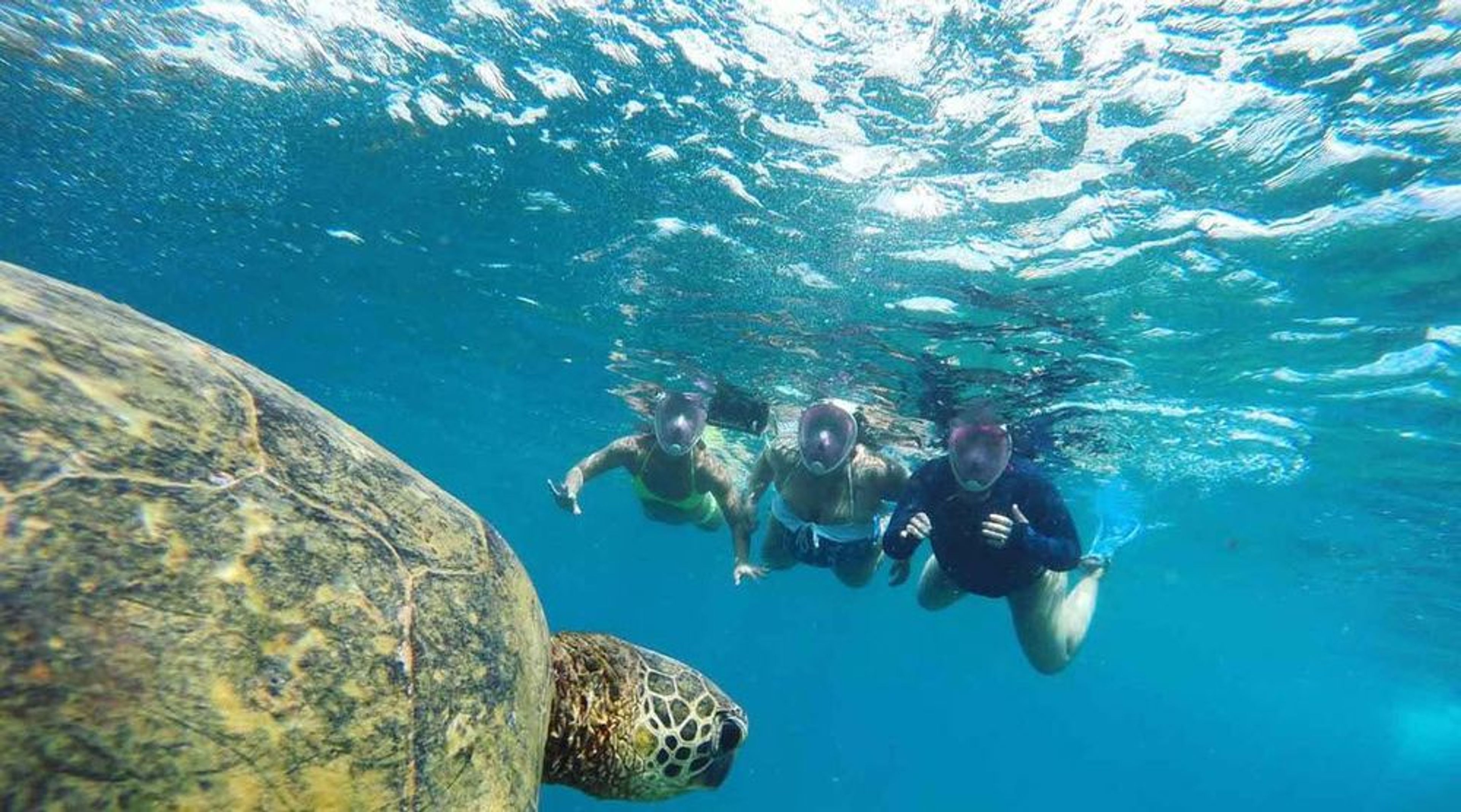 Snorkeling In Oahu: A Complete Guide