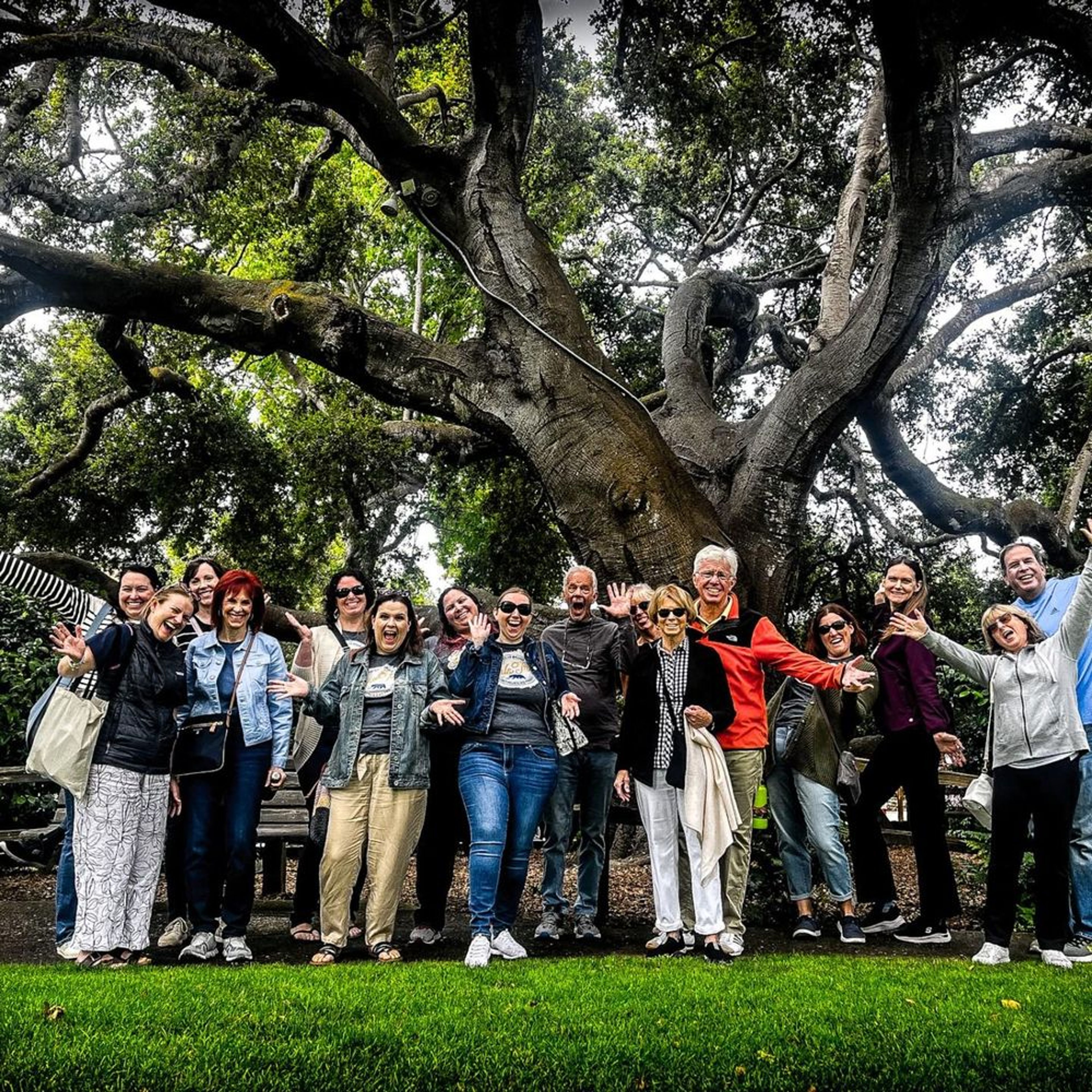 Private Tours - Image 3