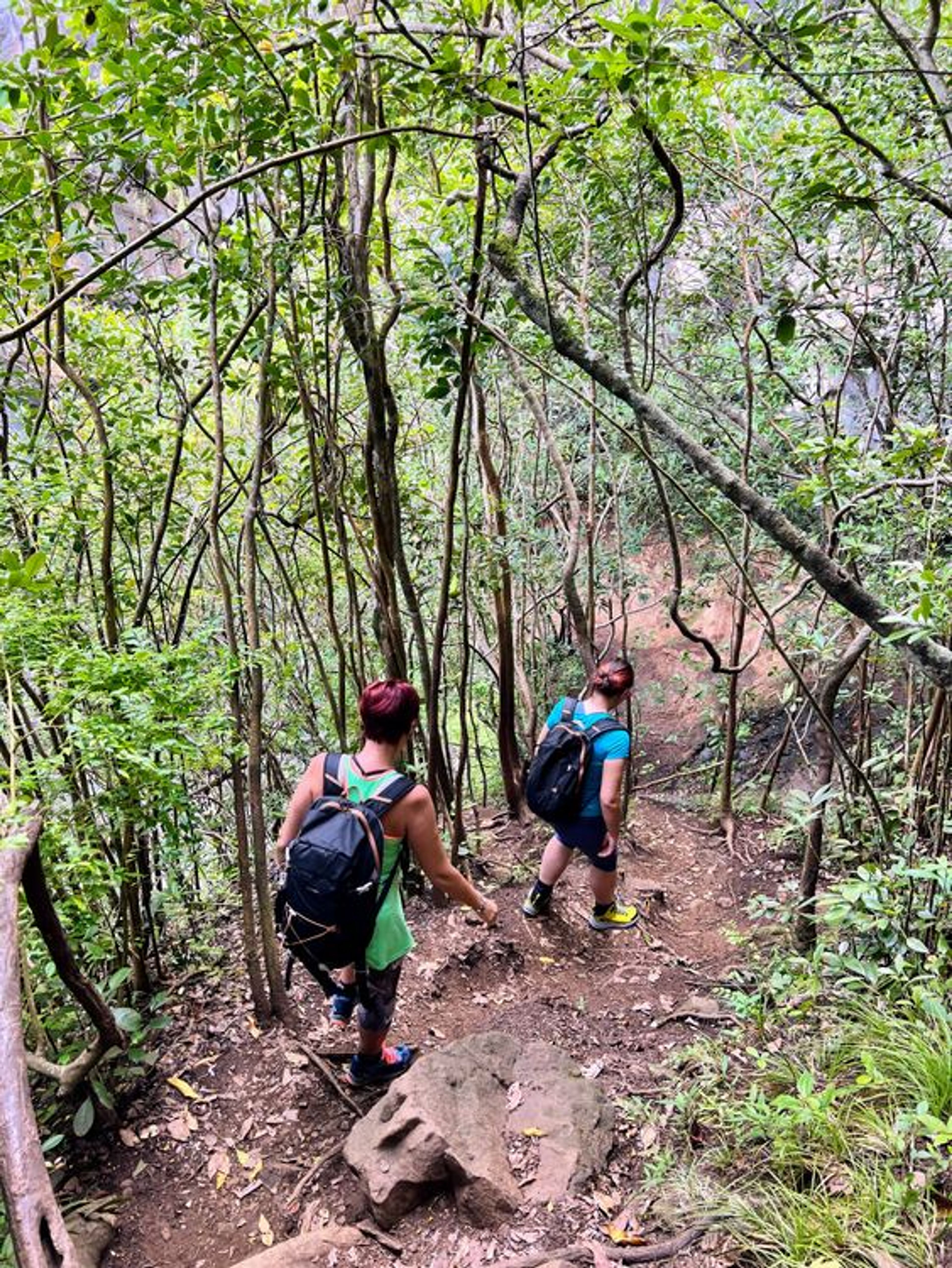 Guided Mindfulness Walks