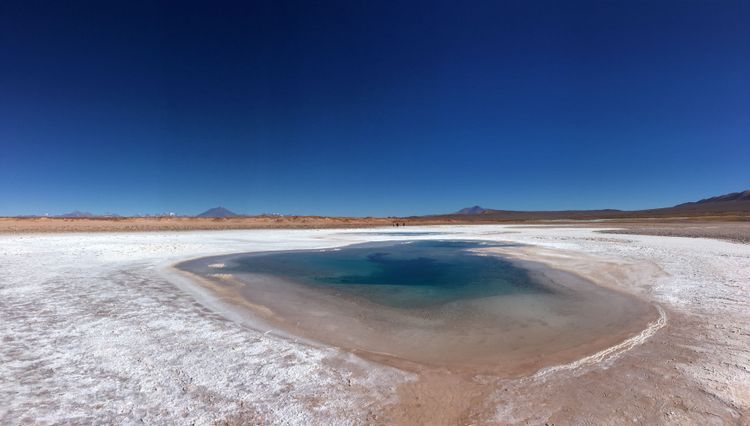 Visit The Largest Salt Flat In The Argentine Altiplano