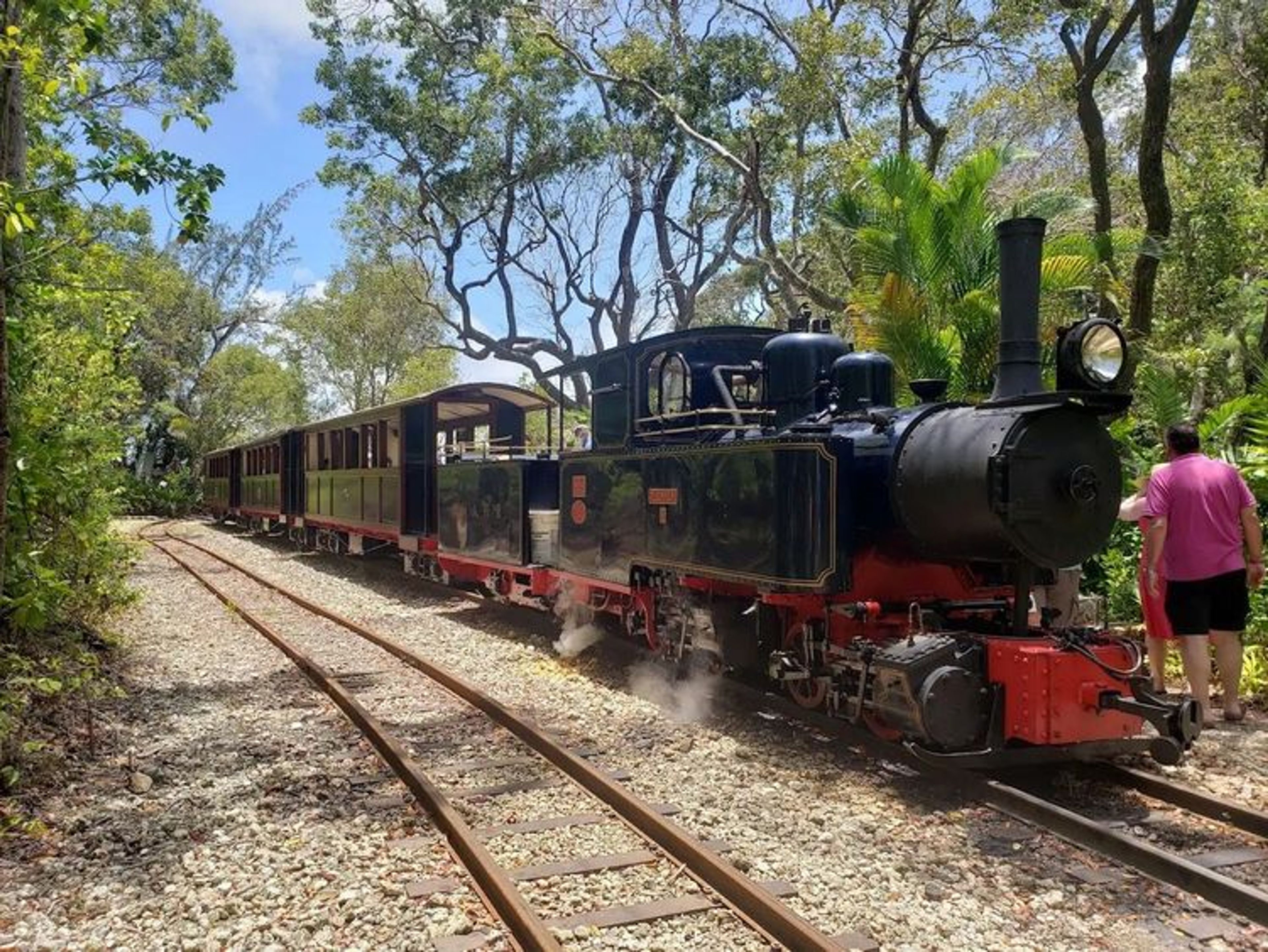 Train