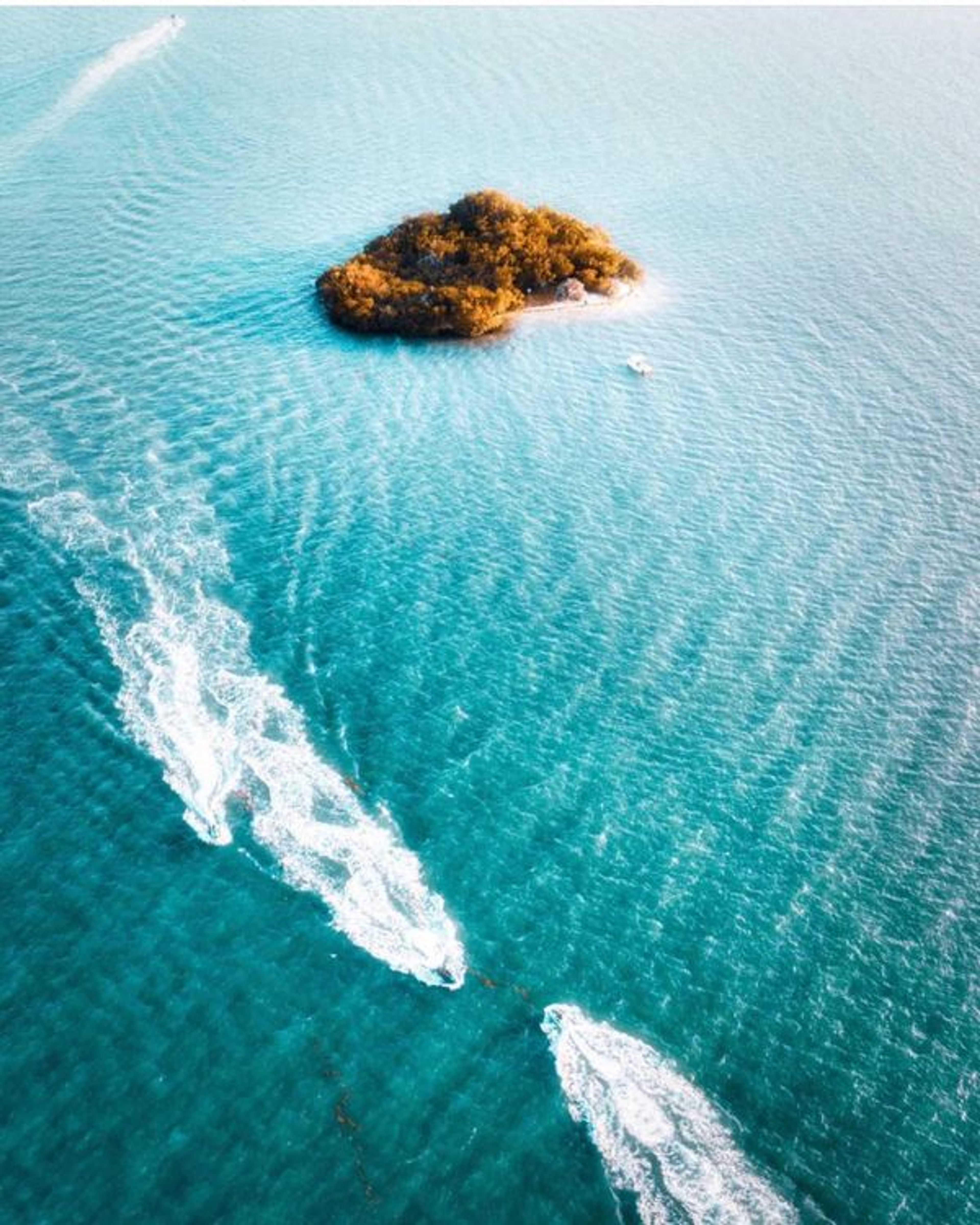 Boat Tour On an Island Surrounded by Wildlife