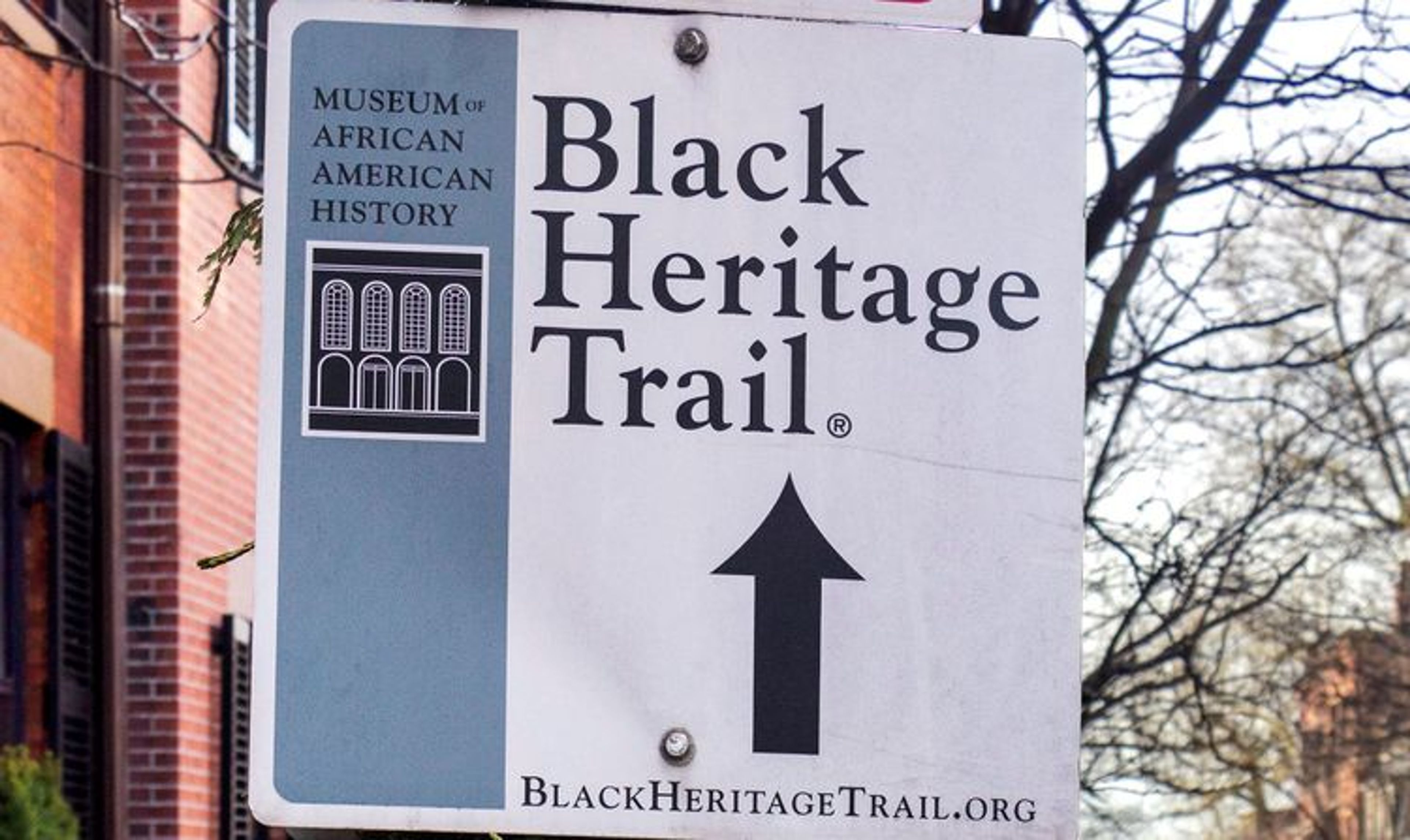 Learn about what makes Boston such a cosmopolitan city today
