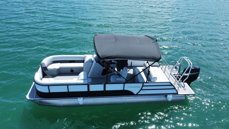 Beautiful pontoon boat