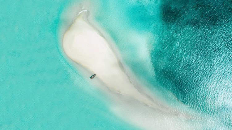 Enchanting trip to sandbar and back