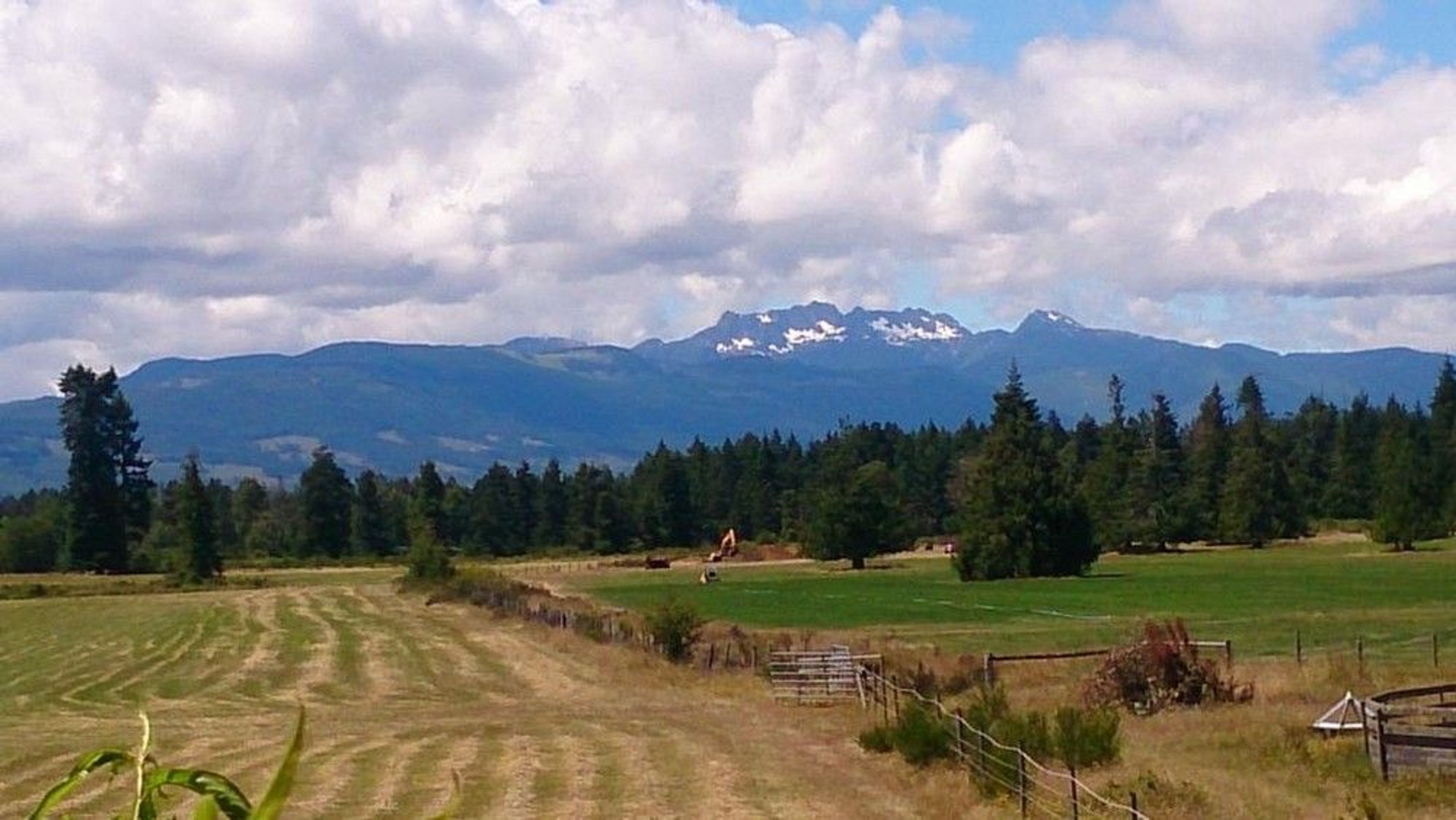 Serviced RV Site on Vancouver Island - Image 1