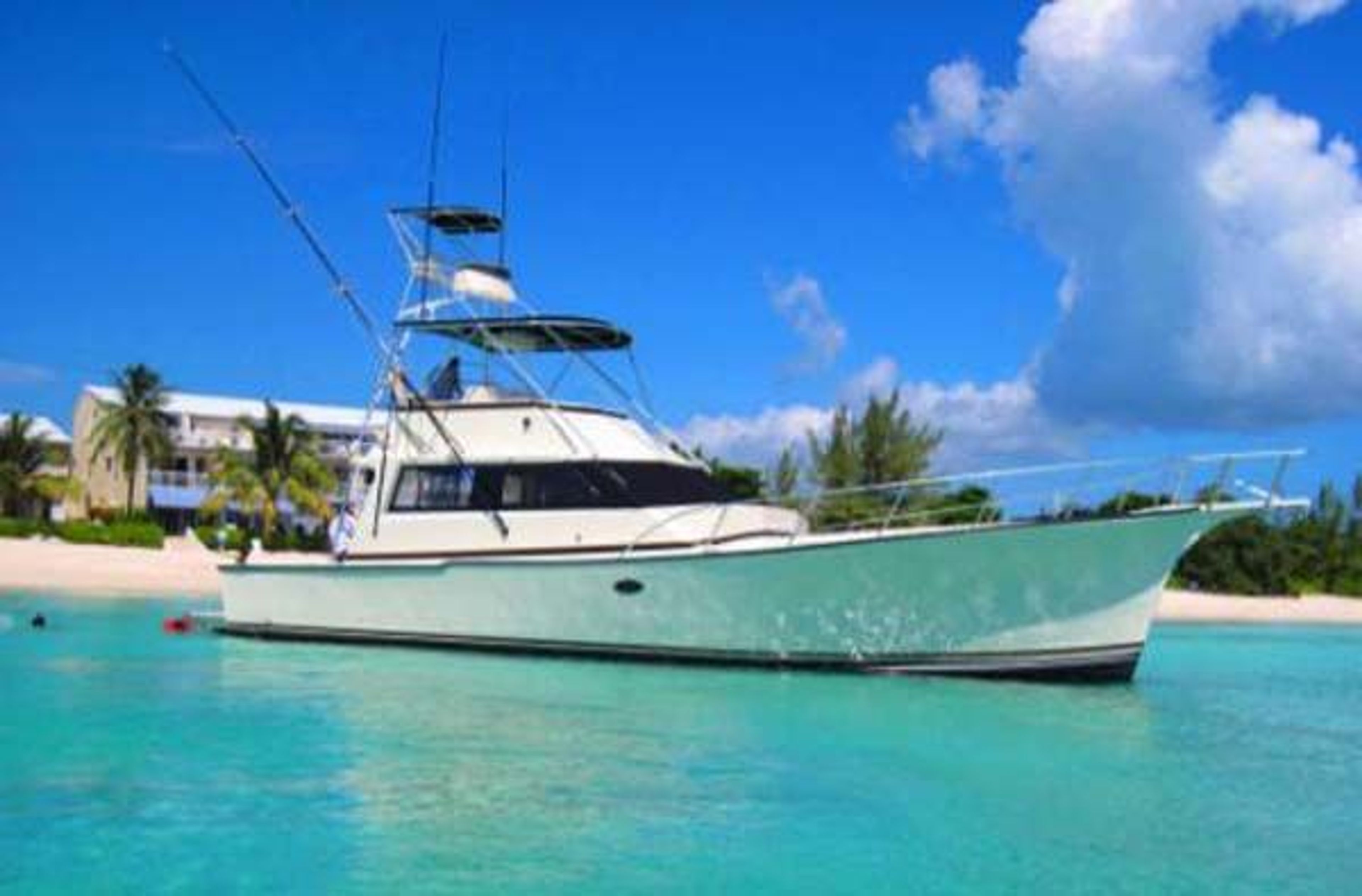 Reef Fishing  - Image 2