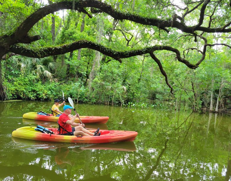 Paddling in Florida's wetlands