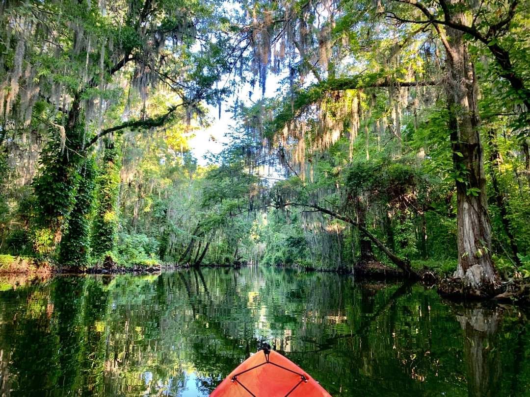 peaceful paddle in Tavares, Florida