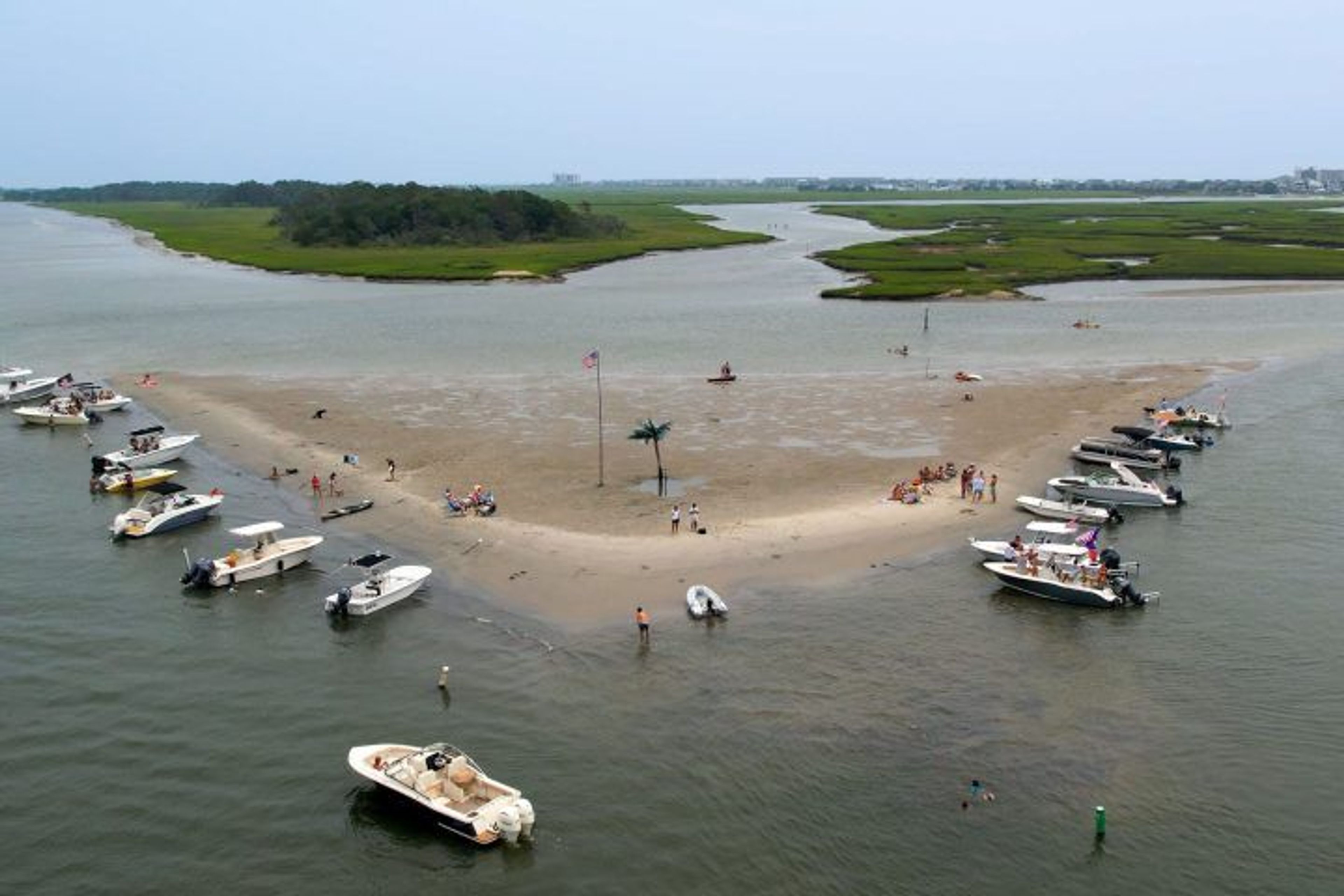 Palm Tree Island Cruise - Image 2