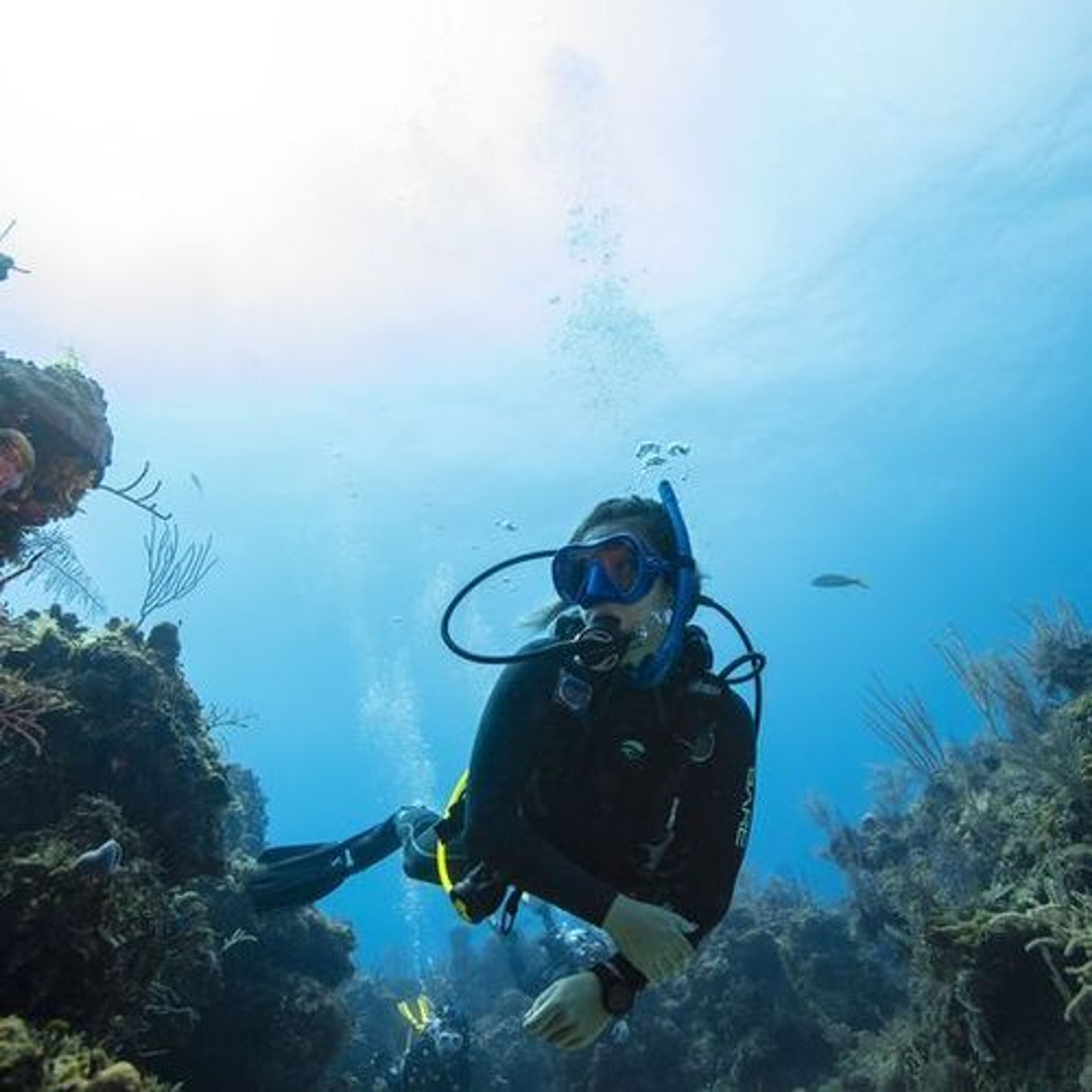 12 Dive Package