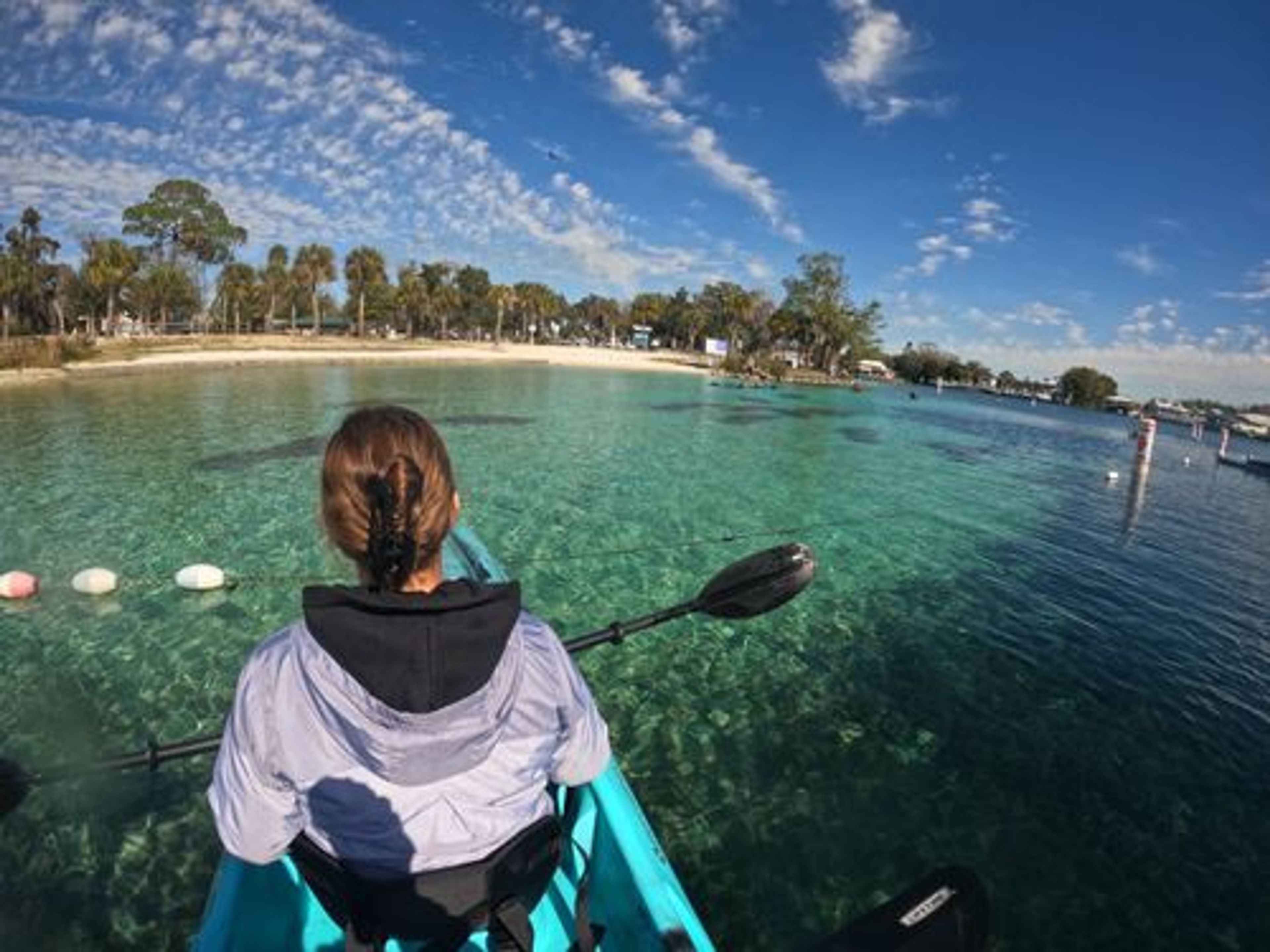 Guided Manatee Kayak Tours (Nov 15 - Mar 31)