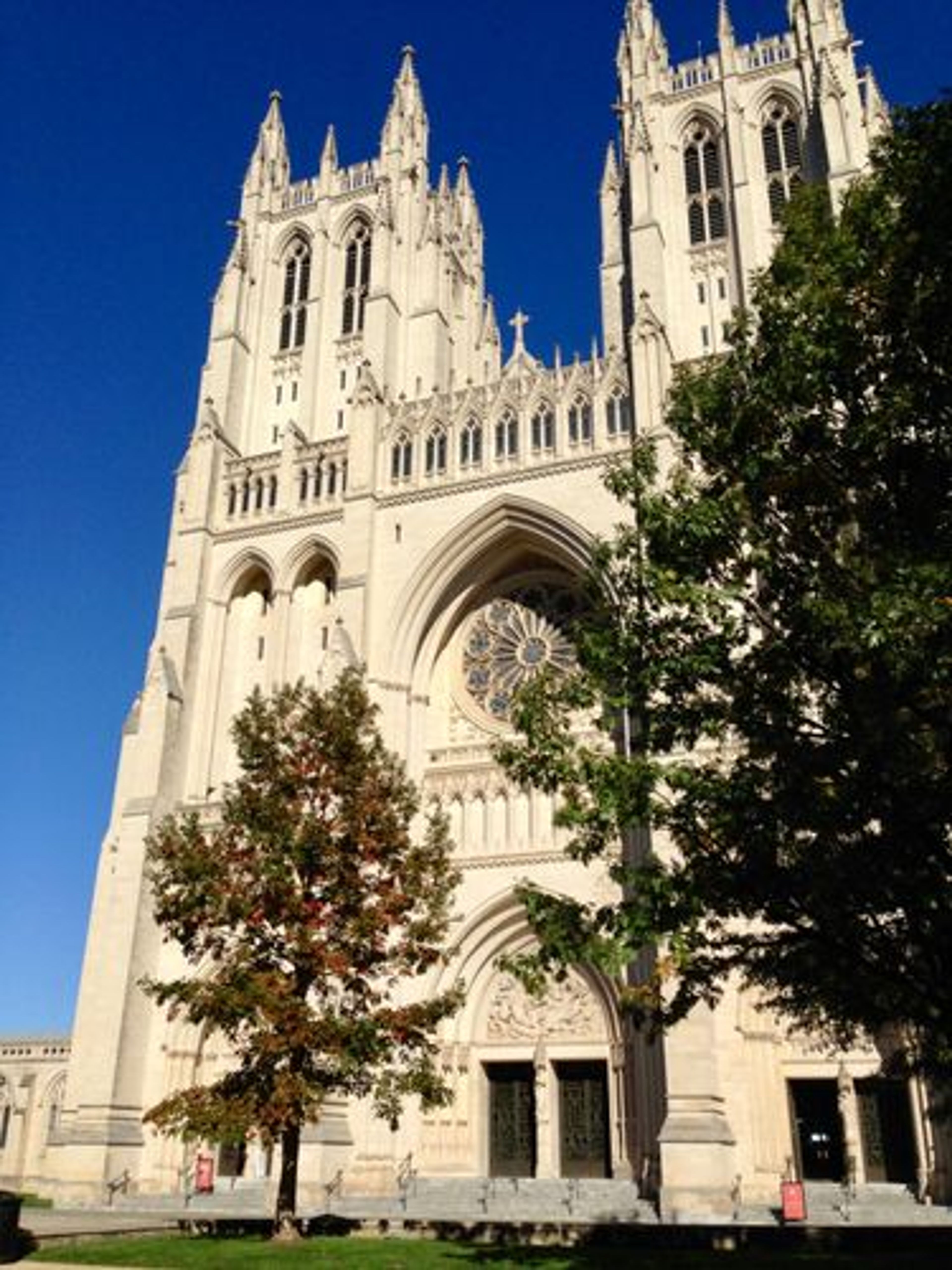 Above It All - Washington National Cathedral