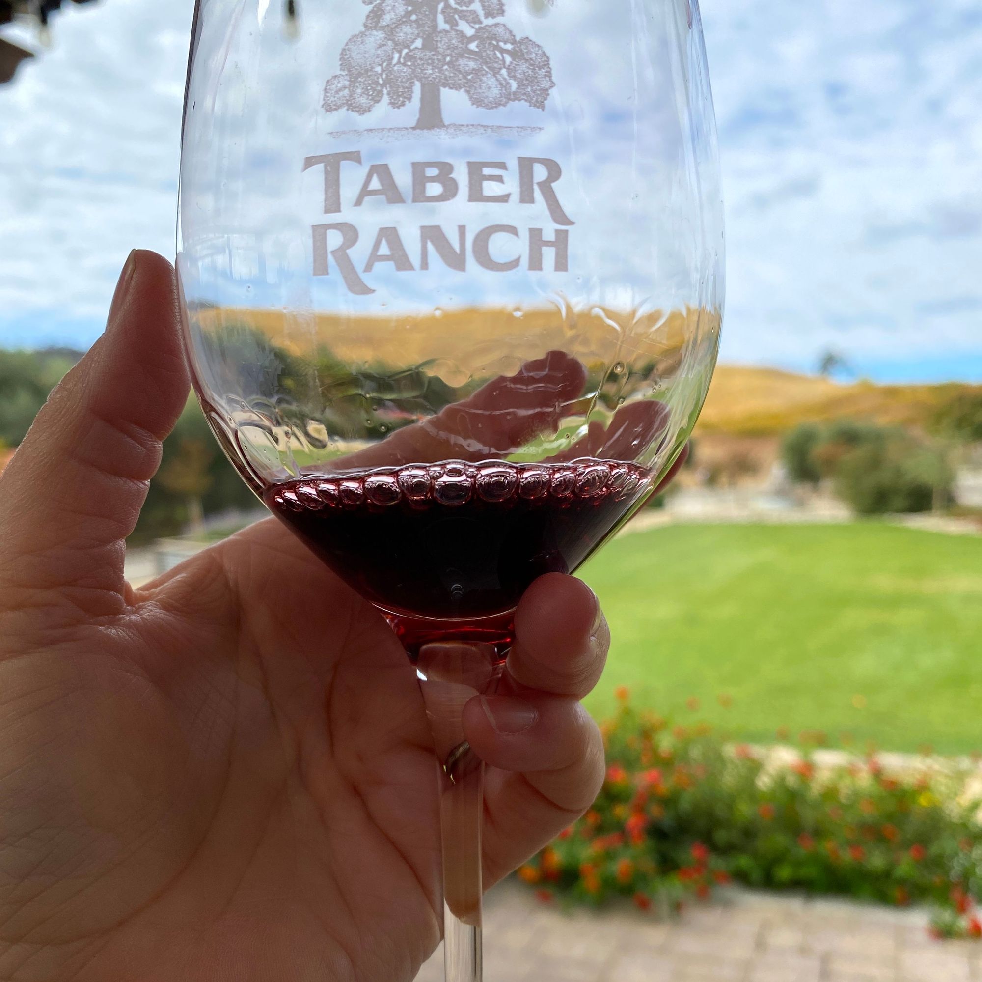 wine in glass