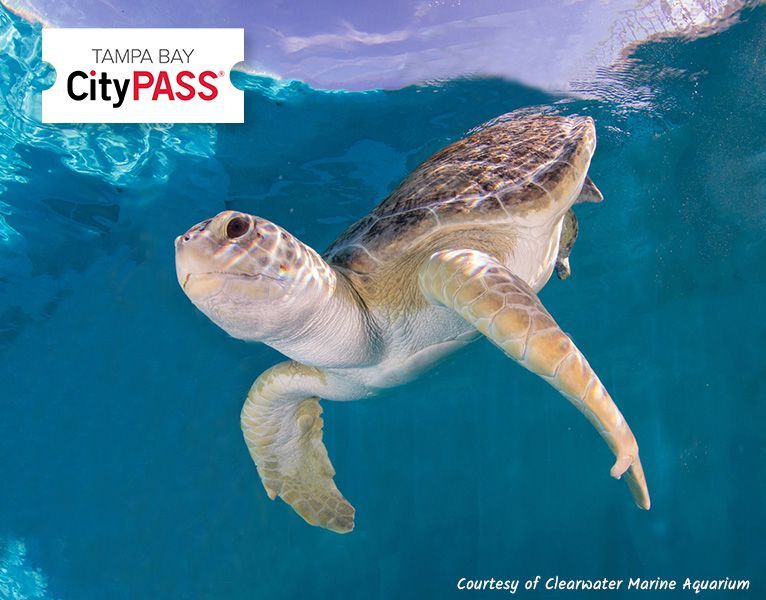 Already Have CityPASS® tickets? - The Tropics Boat Tours
