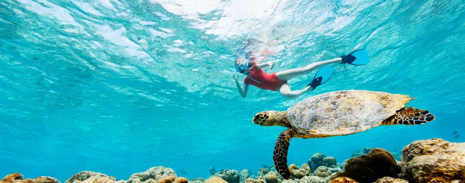 Turtle Town Snorkeling Maui
