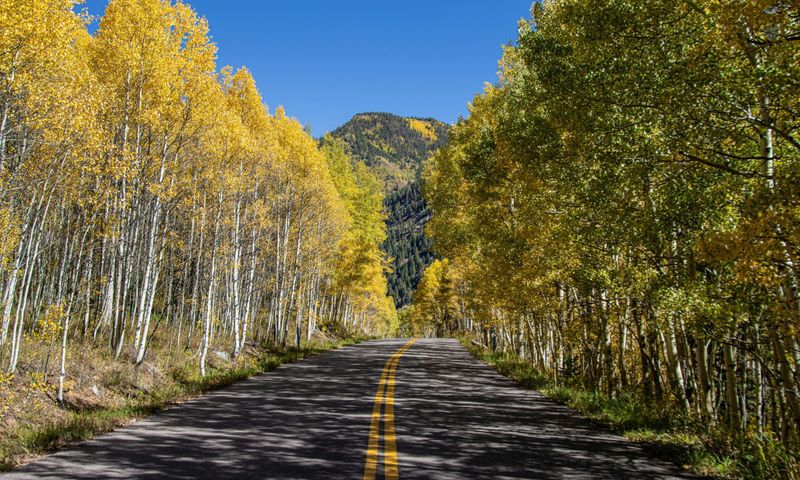 road going through Plumtaw Loop Scenic Drive near Pagosa Springs