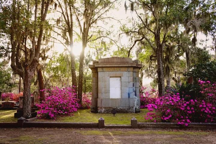Private 7 Cemetery Marathon - Image 4