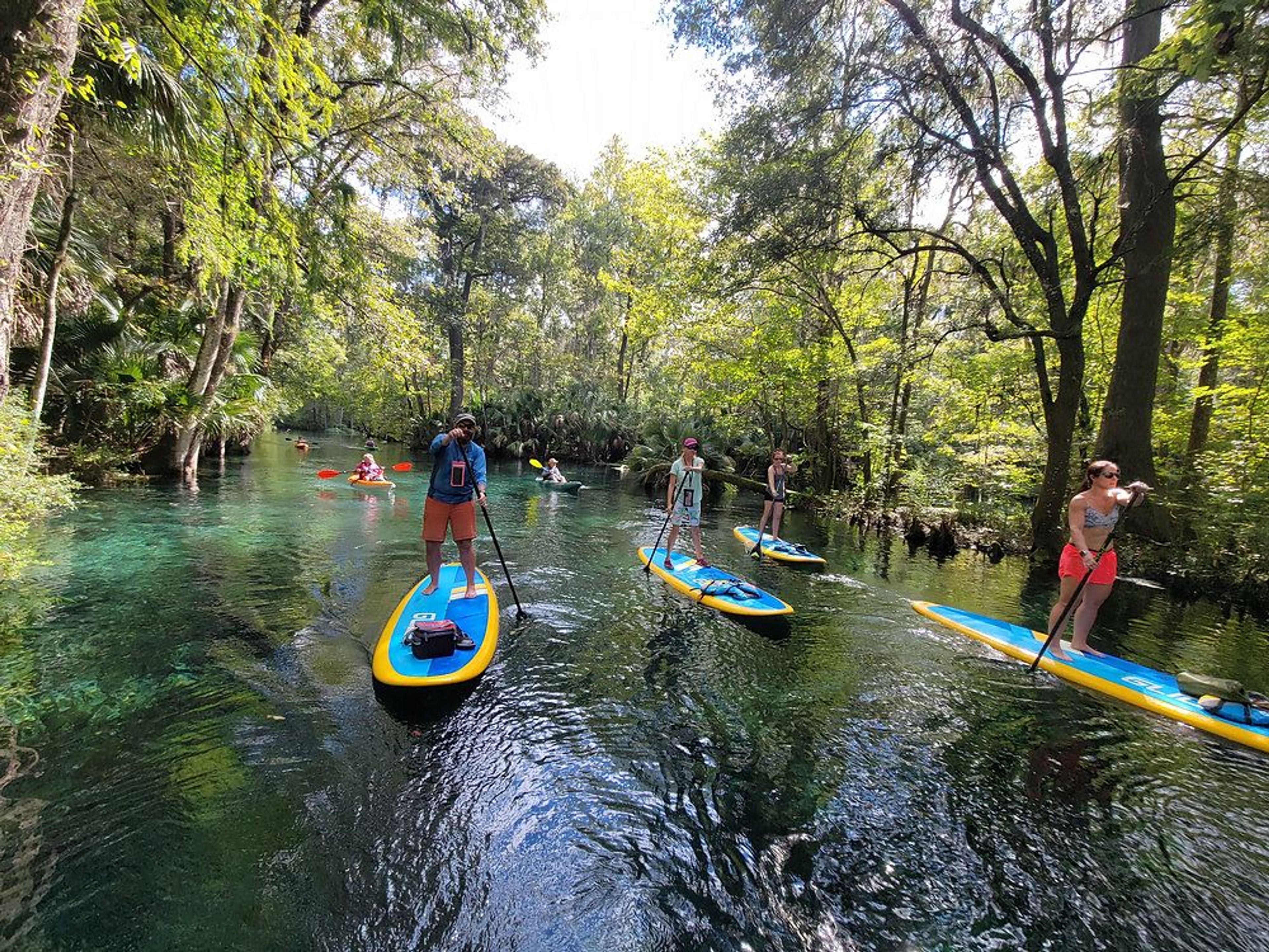 Florida's Best Summer Paddling Adventures