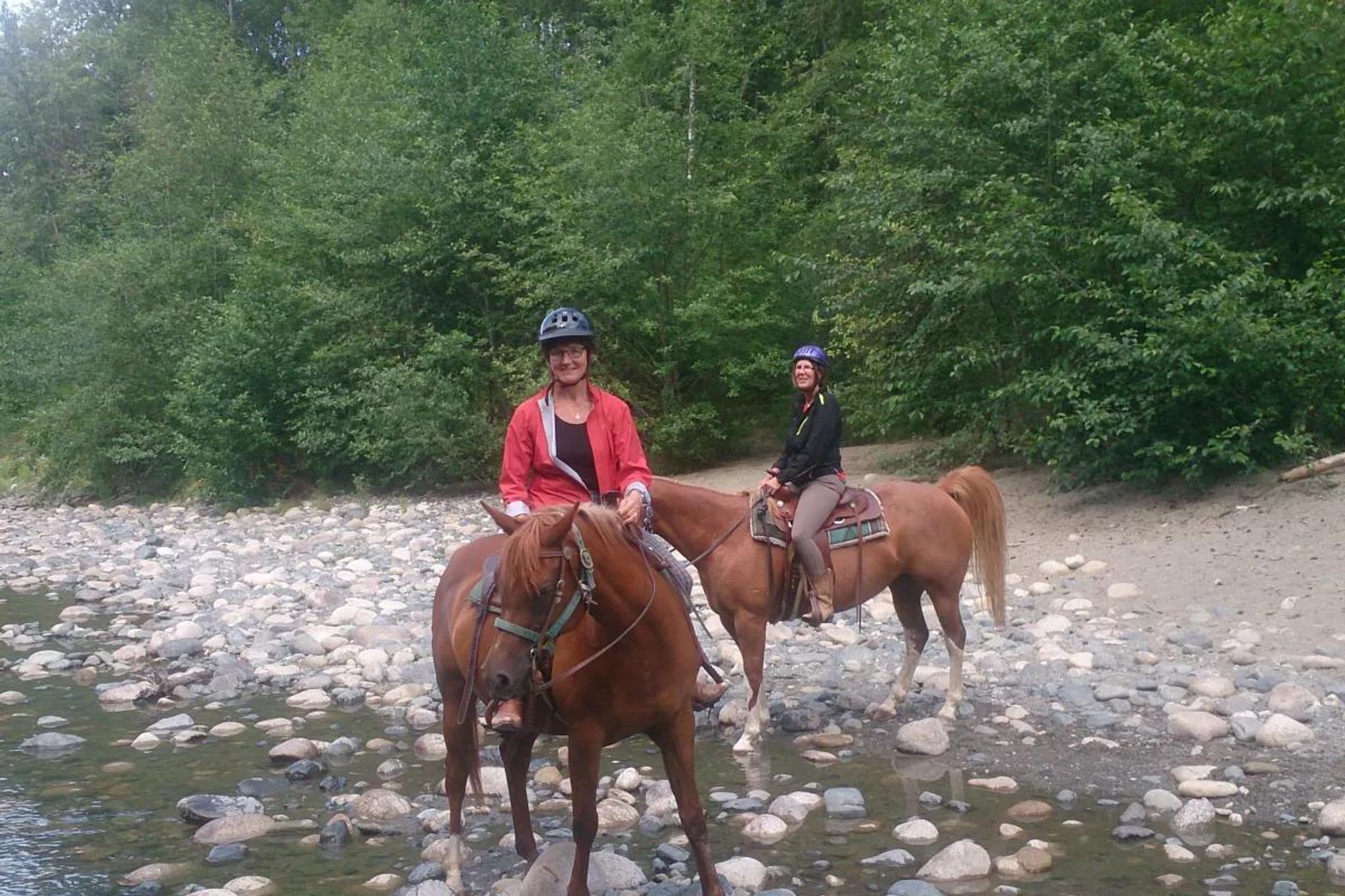 Horse Boarding, Vancouver Island